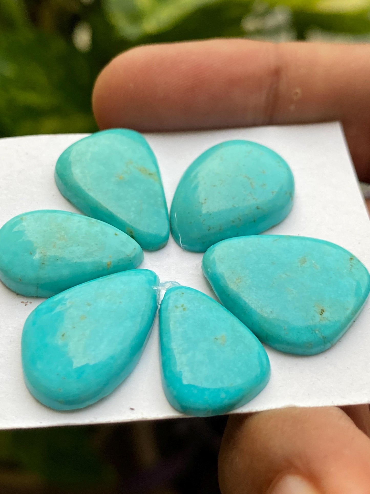 Amazing rare Arizona mines Turquoise cabochons flat natural smooth polished fancy pcs 6 wt 45 carats 19x13-20x17mm turquoise cabochons