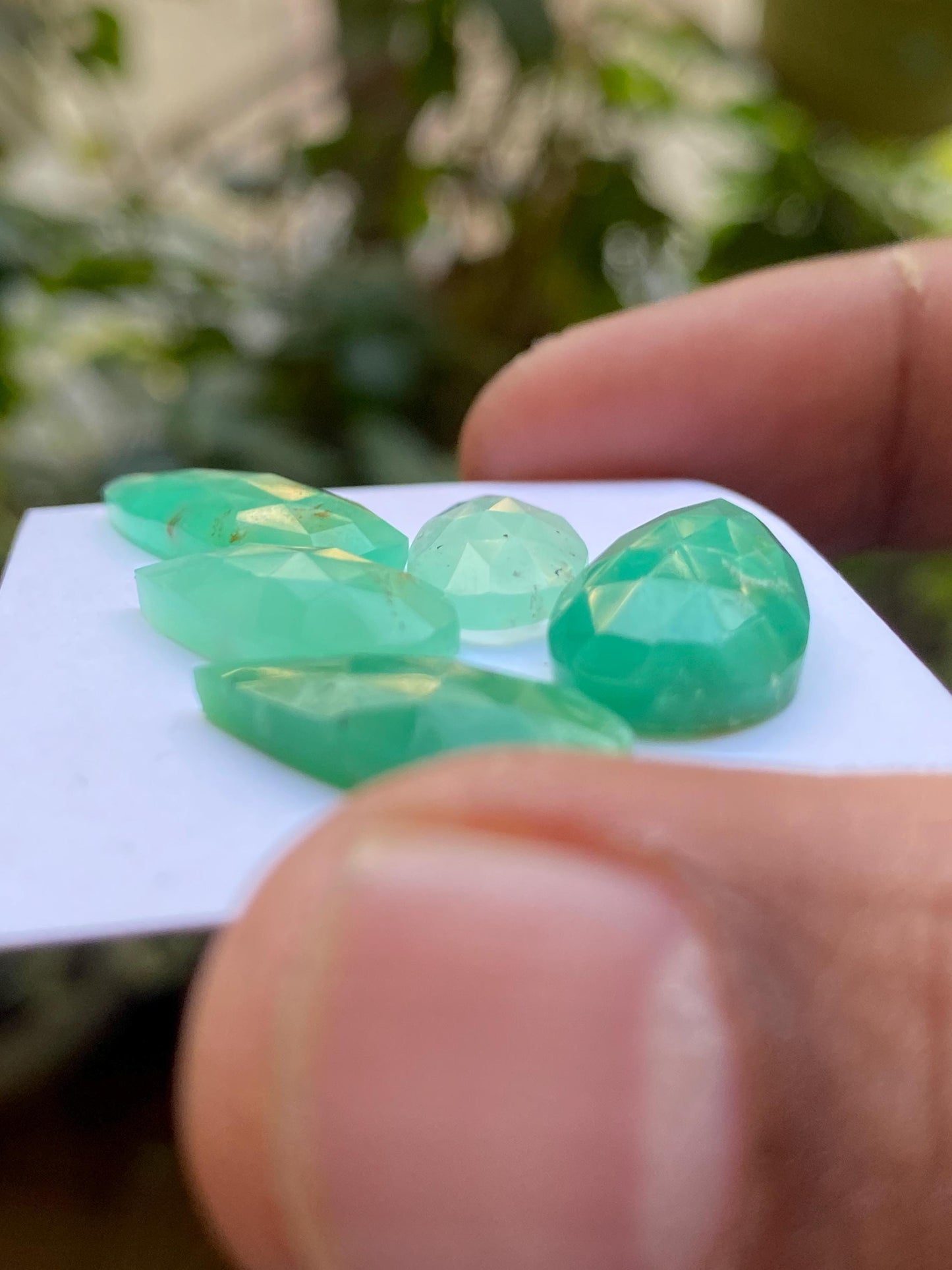 Scintillating Chrysoprase rosecut pear fancy wholesale lot fine quality wt 26.76 carats pcs 5 size 18x8.7mm-28x8.9mm chrysoprase rosecut