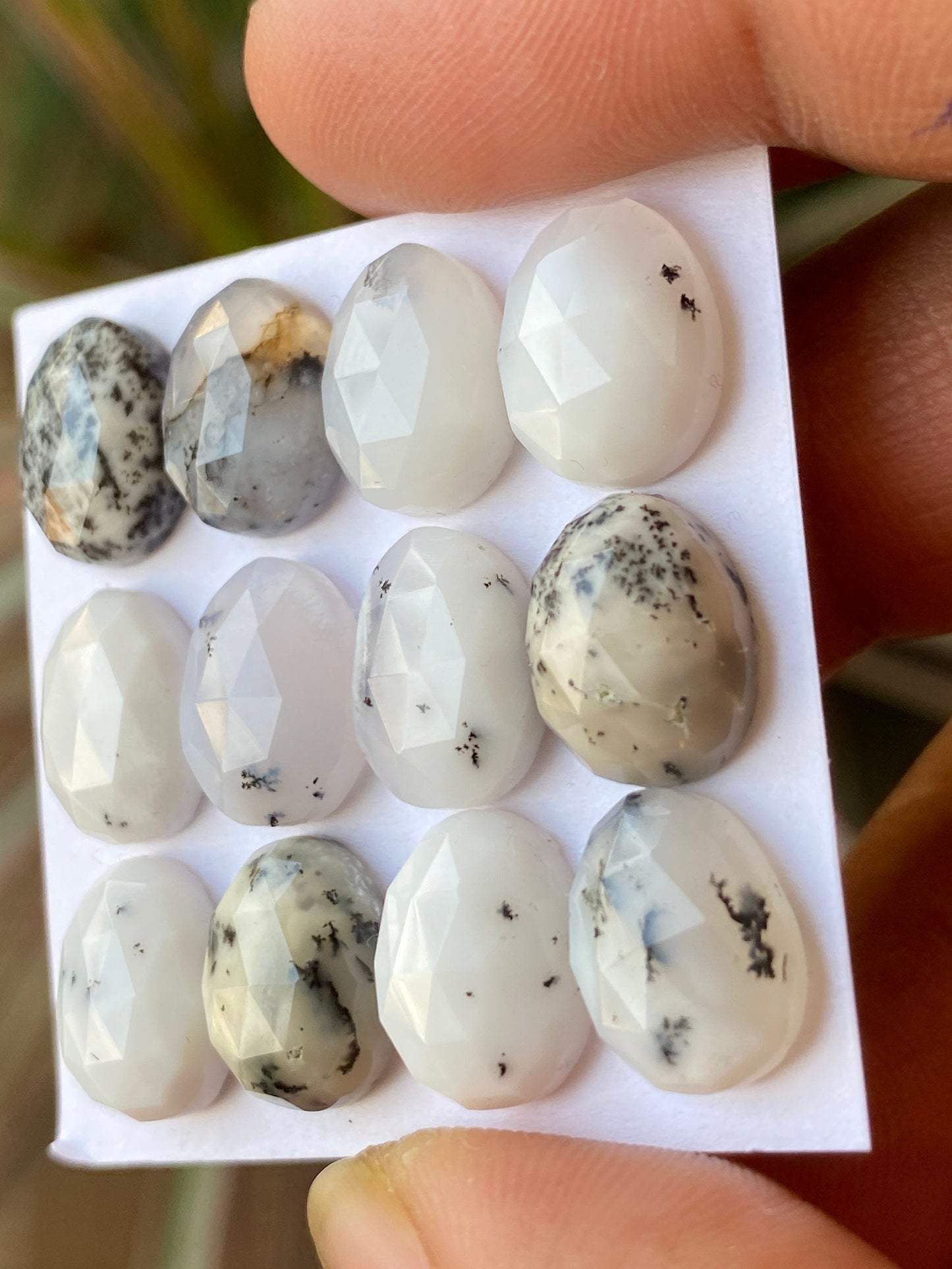 Amazing rare fancy dendrite agate egg shape rosecut flats wt 44 carats size 11x8mm-12x9mm pcs 12 rosecut gems