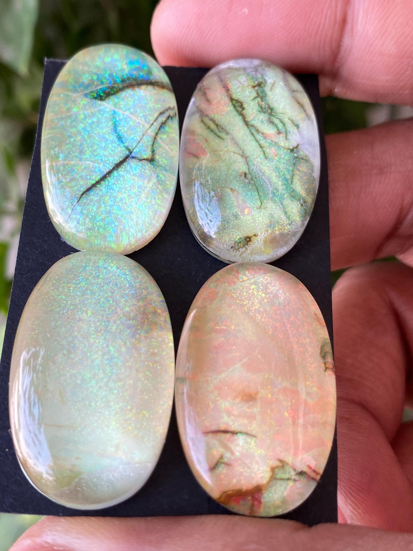 Mesmerising Multi fire sterling opal monarch opal crystal doublet oval cabochon wt 127 carats rare big size 30x18mm ring pendant supply