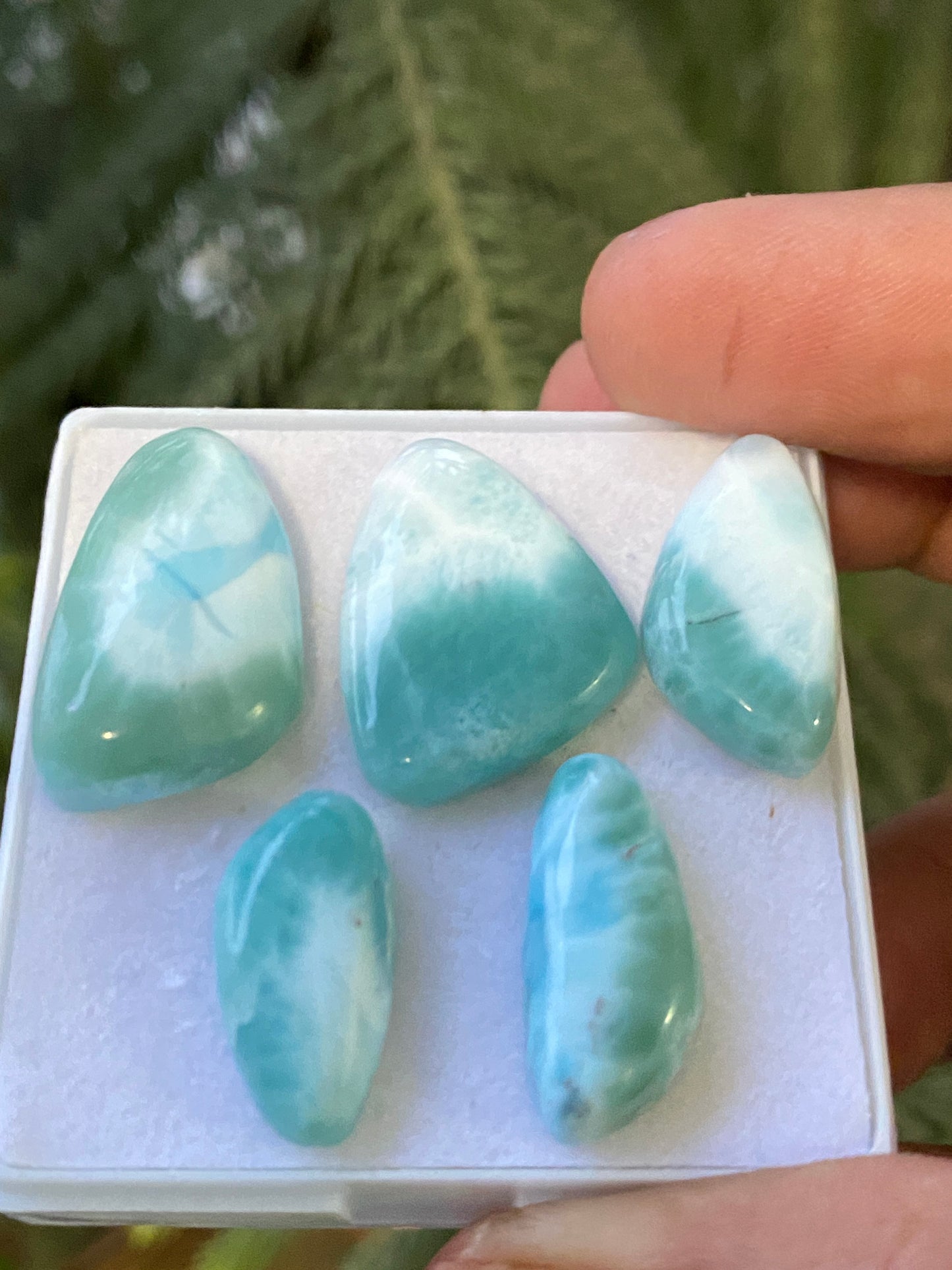 Dazzling rare Smooth Larimar cabochons pcs 5 pendant supply  wt 69 carats size 19x10-21x15mm  natural Larimar cabochons fancy shape