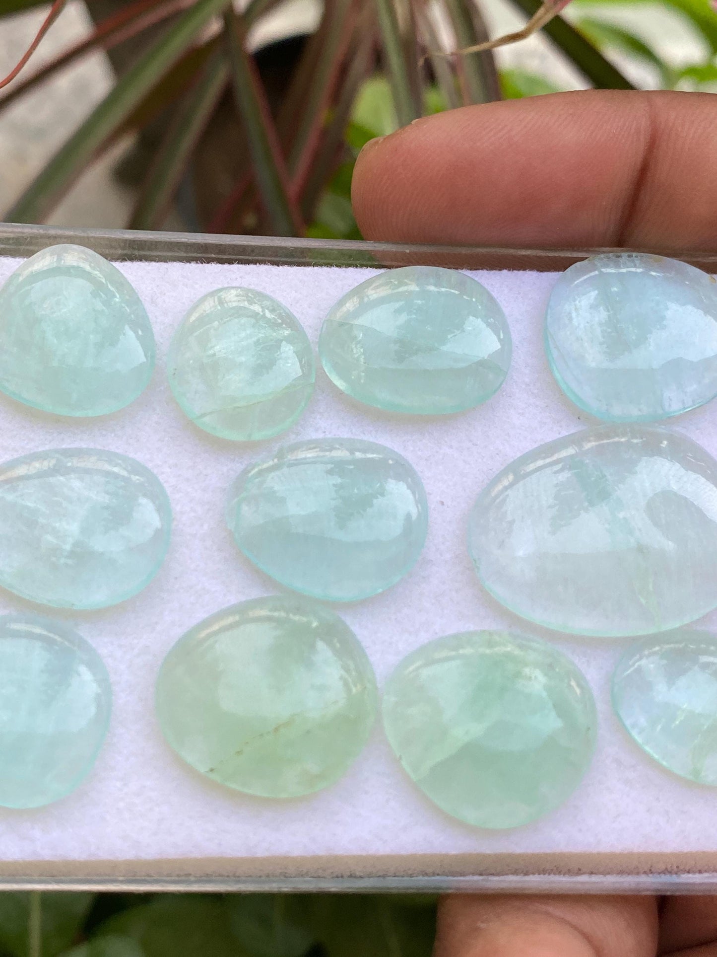 Mint Fluorite pairs smooth polished matched    sea  green size 15x13mm-25x19mm pcs 11 wt 104  cts fluorite  smooth polished cabochons