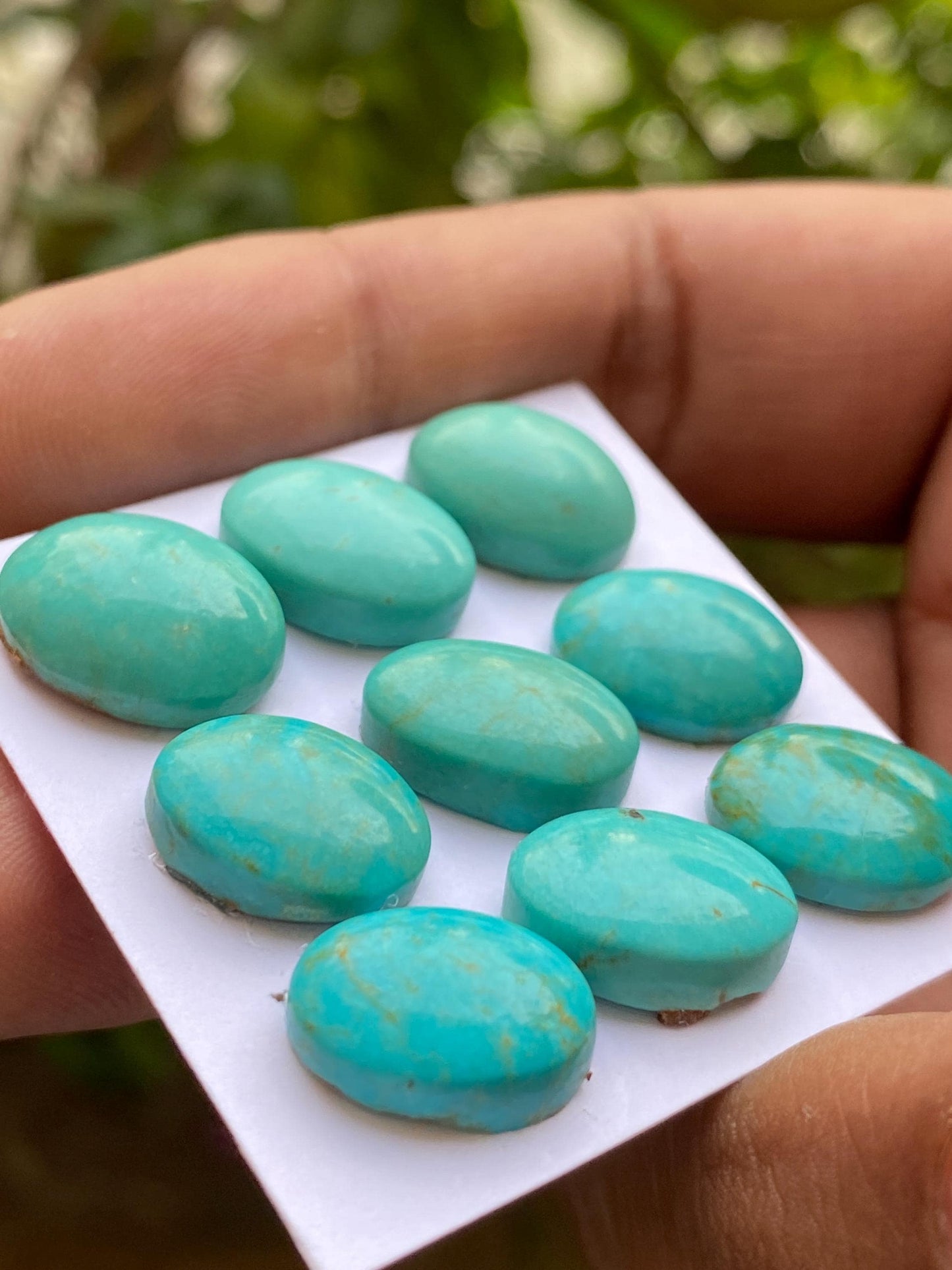 Mesmerising rare Arizona  mines Turquoise cabochons  natural smooth polished ovals pcs 9 wt 55.45 carats 14x10mm-15x12mm turquoise cabochons