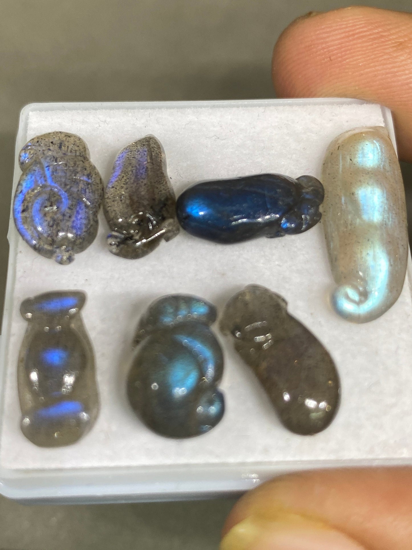 Blue fire labradorite mix carving mouse brinjal tamarind blue fire smooth polished pcs 7 wt 34 cts size 19x12-23x8mm labradorite carving