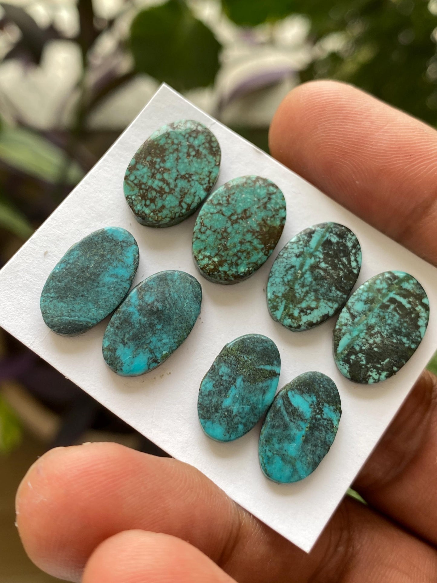 Amazing Turquoise pair natural hubei mines  pattern smooth turquoise pcs 8 wt 37.20 carats good size turquoise earrings supply