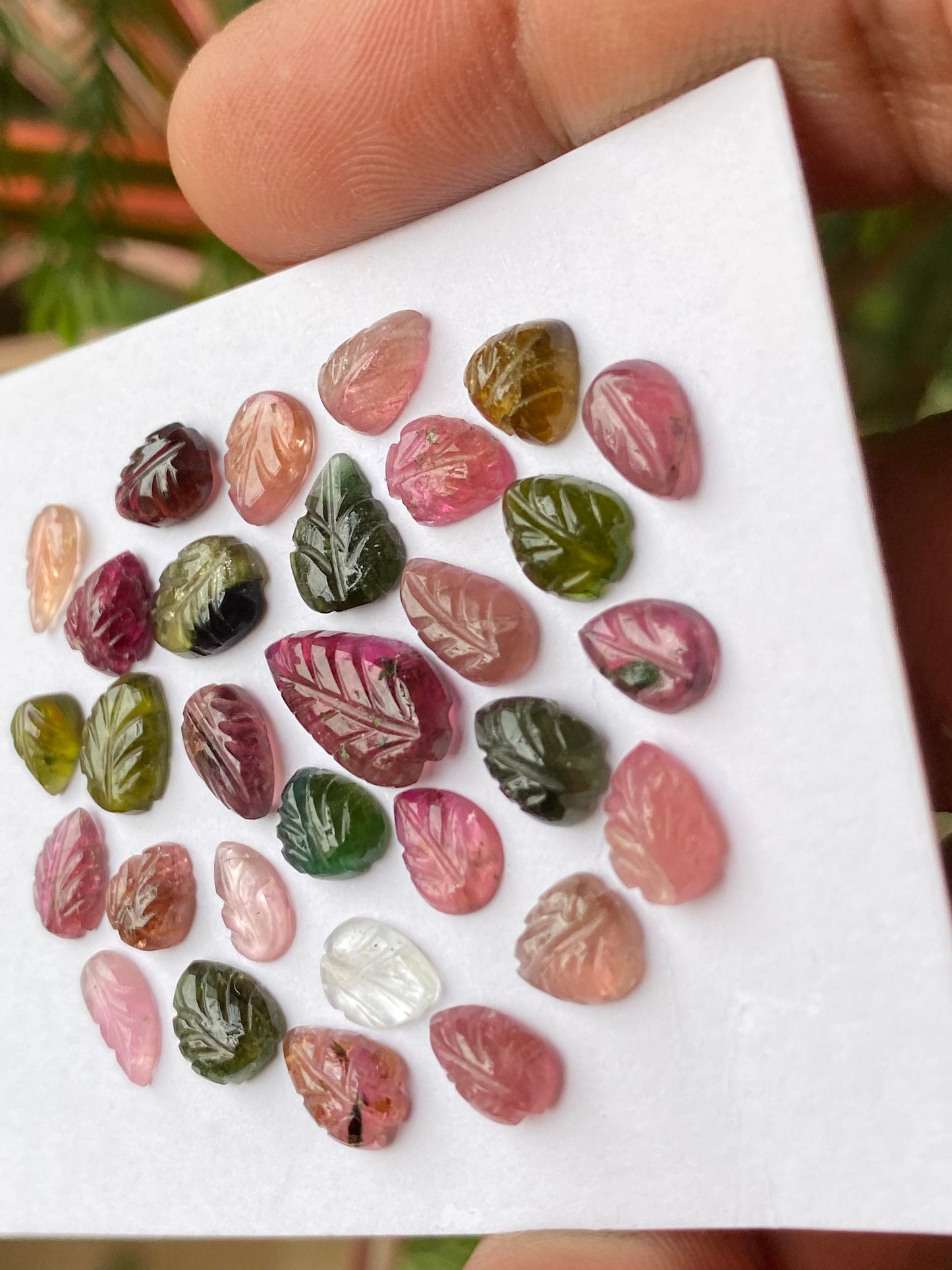 Watermelon tourmaline  leaves carving  multi tourmaline carvings wt 26 cts pcs 30 size 6x4mm-13x7mm tourmaline leaves