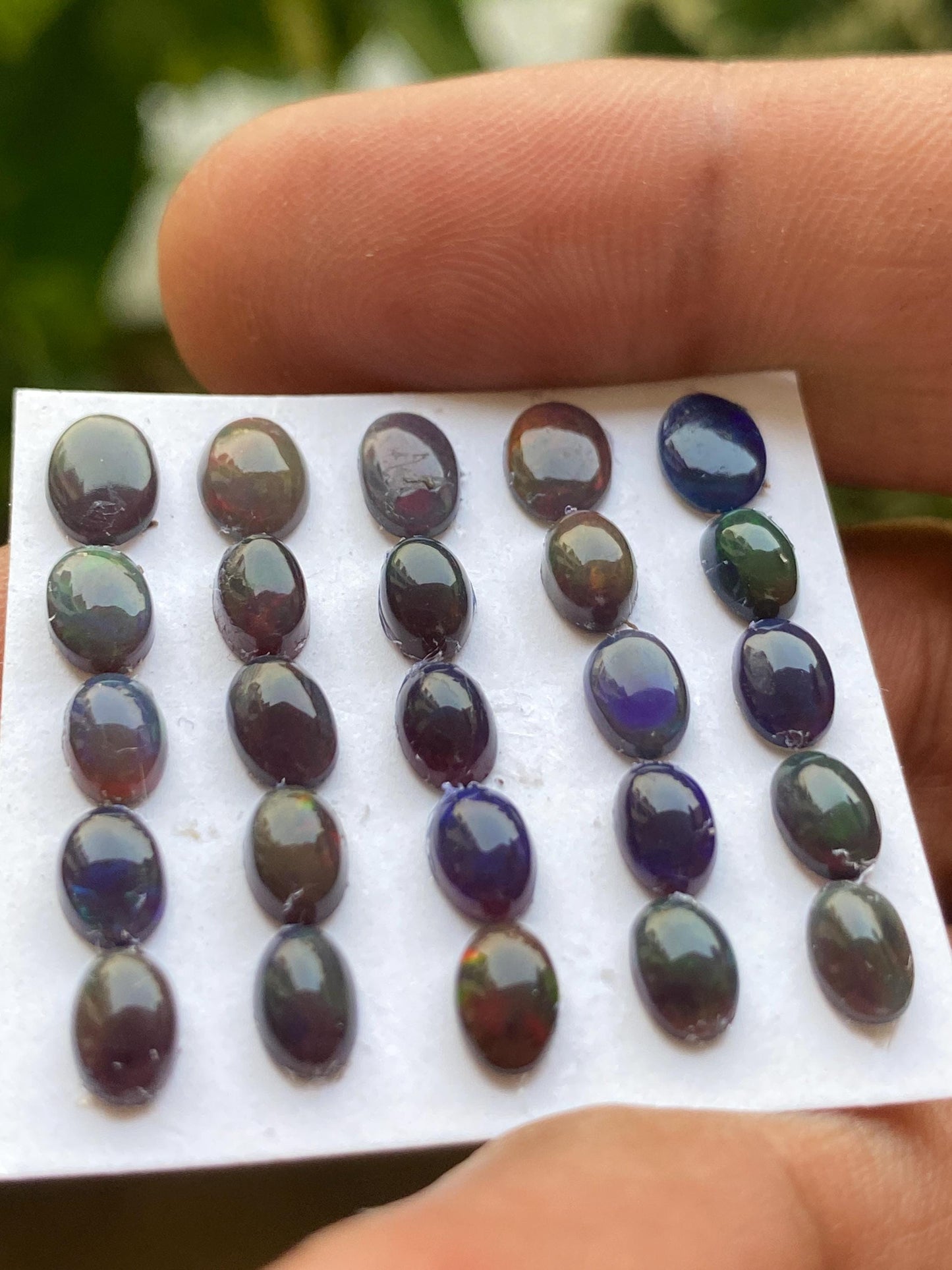 Stunning Black opal (smoked) Natural Fire opal cabochons lot size wt 8.5 cts size 6x4-7x5mm pcs 20 opal cabochon fire black opals cabochons