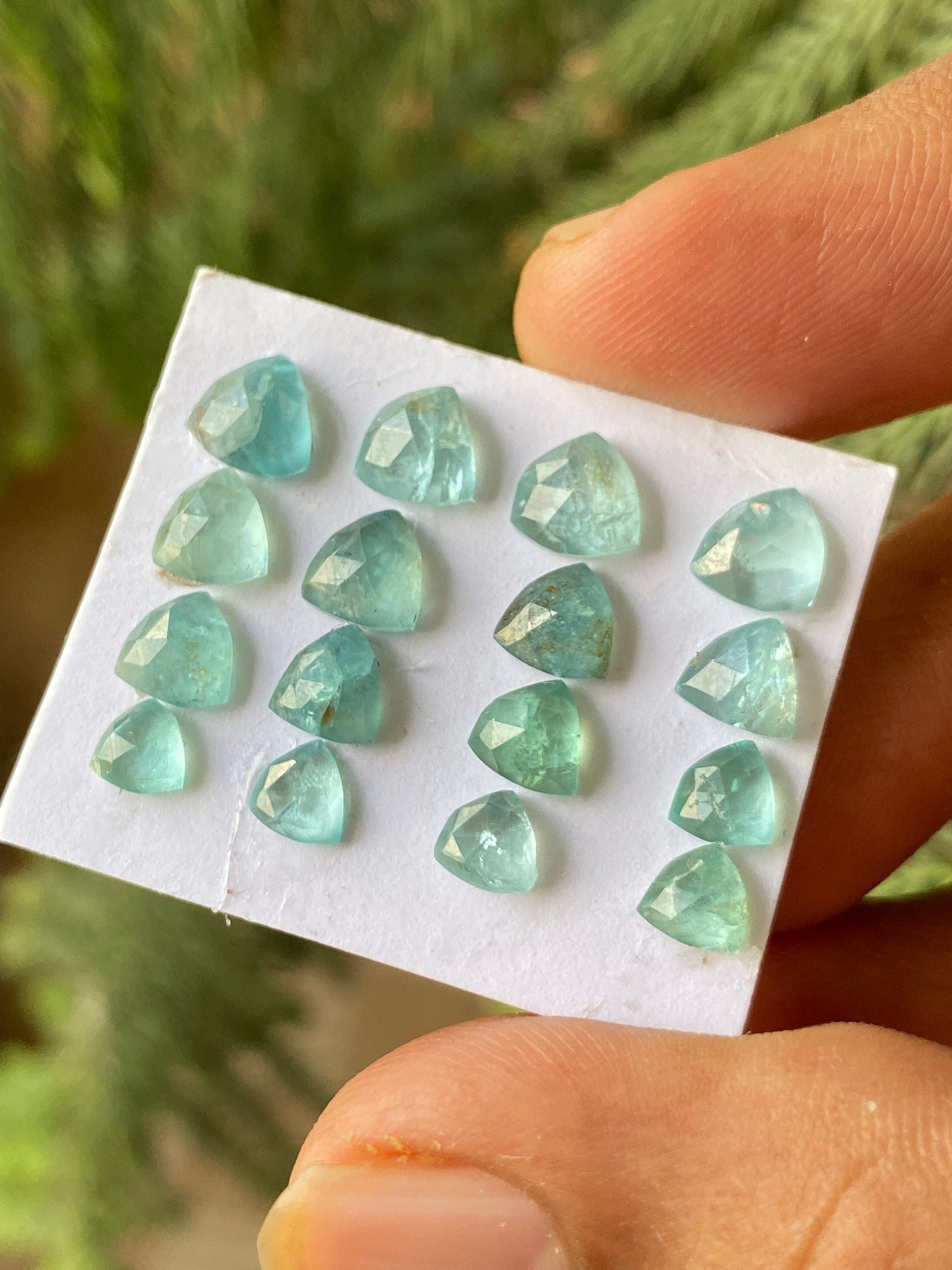 Fabulous Blue green apatite rosecut lot trilliom weight 13.45 carats pcs 16 rosecut blue apatite flats Small size 5mm-6.8mm apatite rosecut