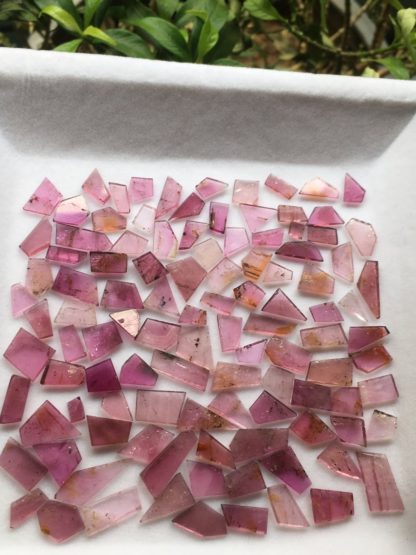 Pink tourmaline flats 6.3x5.4mm to 9.3x6.9mm 72.45 carats 106 Pcs