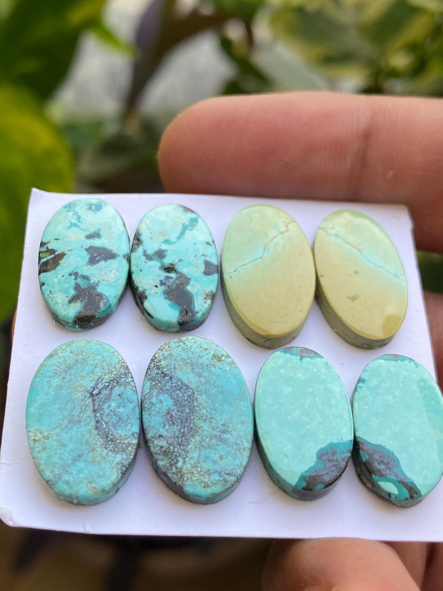 Rare Turquoise pair natural hubei mines rare pattern  smooth turquoise pcs 8 wt 56  carats good size 17x10-20x11mm turquoise earrings supply