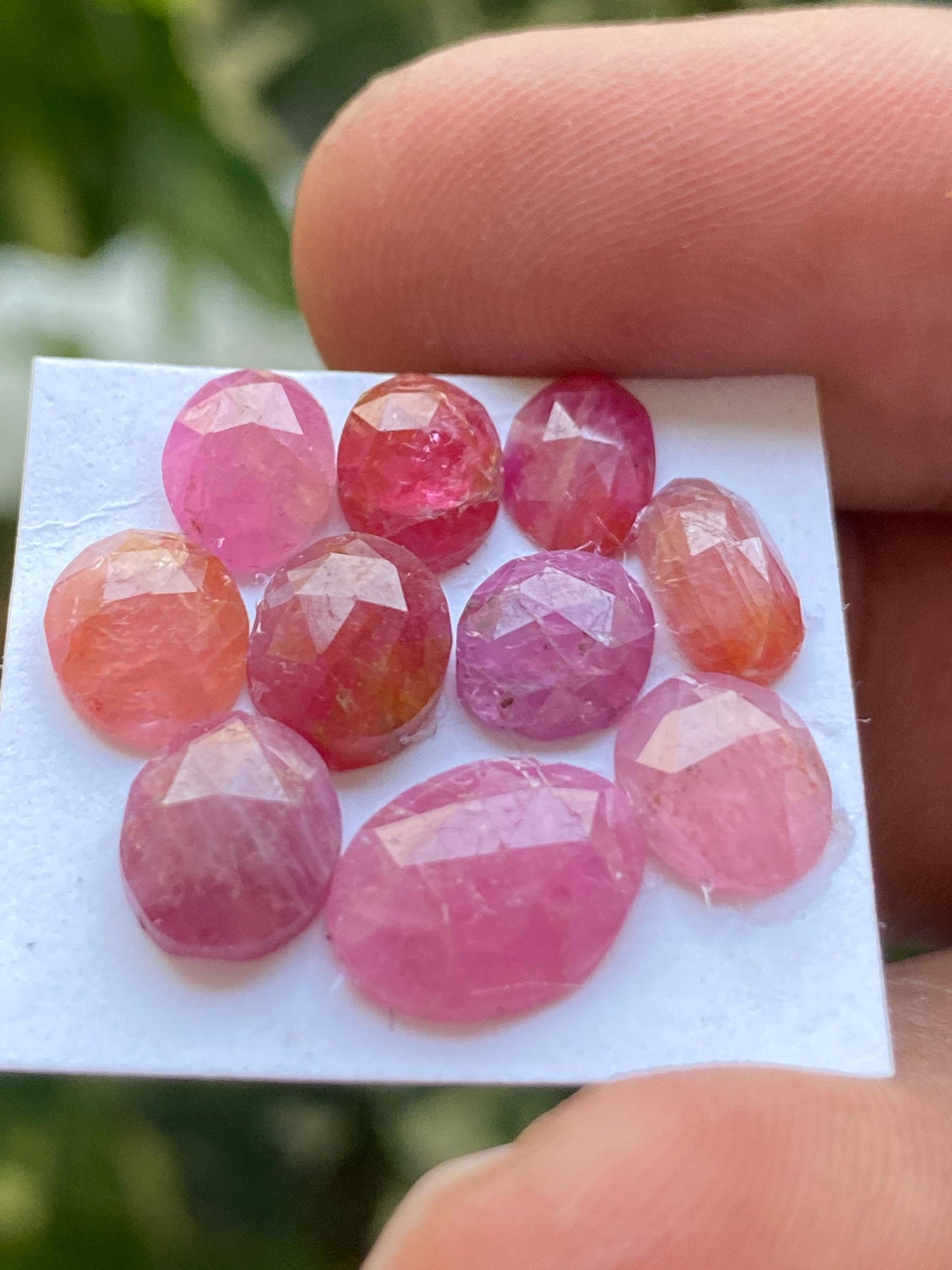 Stunning Rare natural mozambique ruby rosecut lot  mix shapes pcs 10 wt 16.5 cts size 8x6mm-11x8.5mm  unheated untreated ruby rosecut