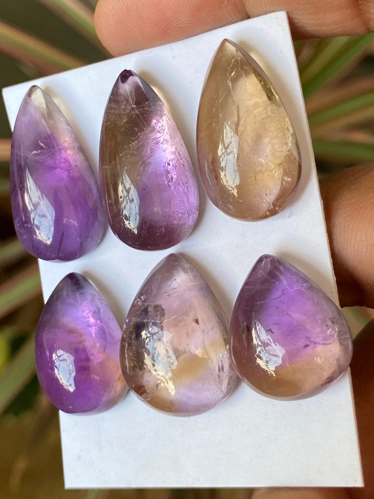 Fascinating Ametrine rare pear cabochons wire wrap supply Ametrine pcs 6 wt 169 cts size 21.5x17.5mm-29x15.5mm Ametrine pear pendant supply