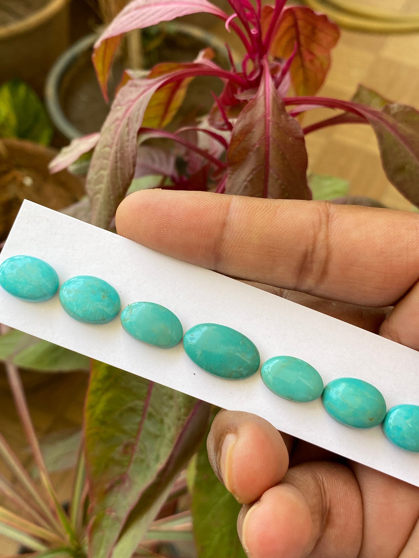 Beautiful rare Turquoise cabochons bracelet natural Arizona mines smooth  ovals pcs 7 wt 40 carats 14x10.5mm-18x11mm turquoise cabochon