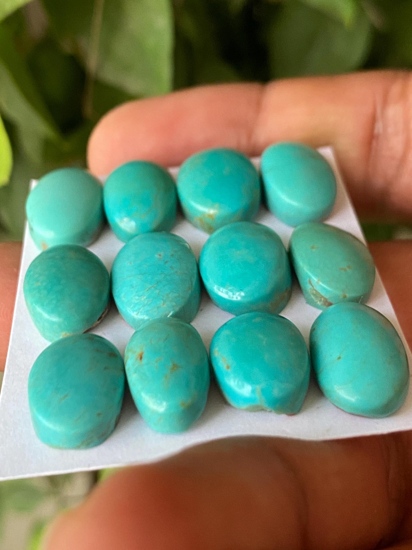 Lovely rare Arizona  mines Turquoise cabochons  natural smooth polished ovals pcs 12 wt 86.60 carats 13.6x10.5mm-16x11mm turquoise cabochons