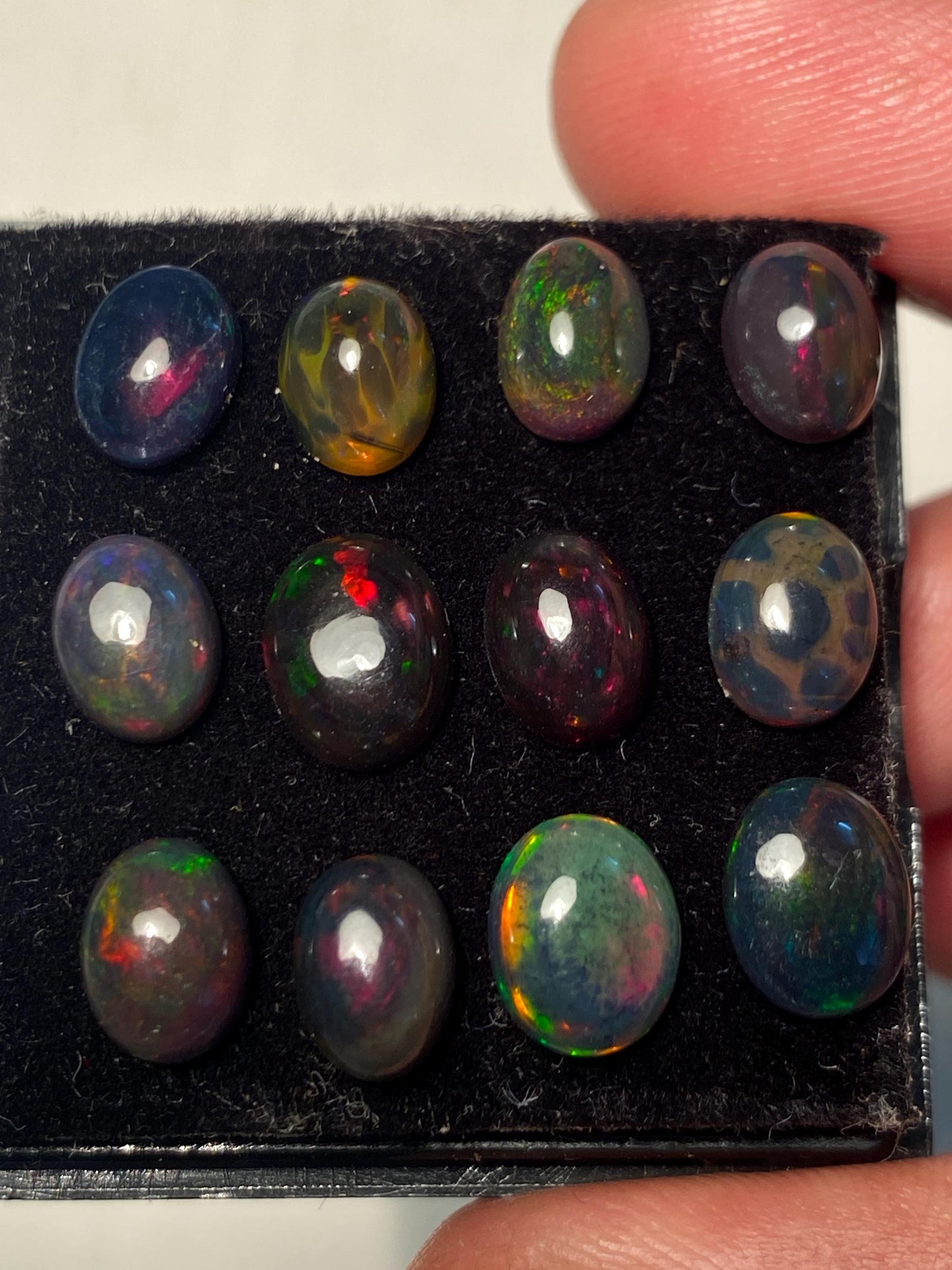 Black opal (smoked) Natural Fire opal cabochons lot size 7.8x6-8.8x7mm wt 11.35 cts pcs 12 opal cabochon aaa quality fire black opals cabs