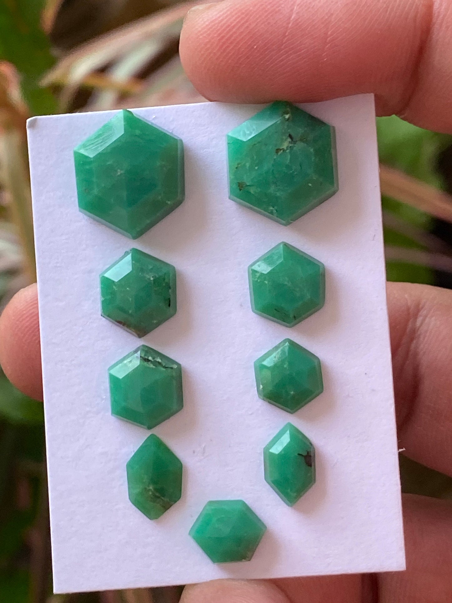 Dazzling chrysoprase hexagon stepcut wholesale lot Pcs 9 weight 30 carats size 9x7.1mm-15x12.8mm chrysoprase stepcut