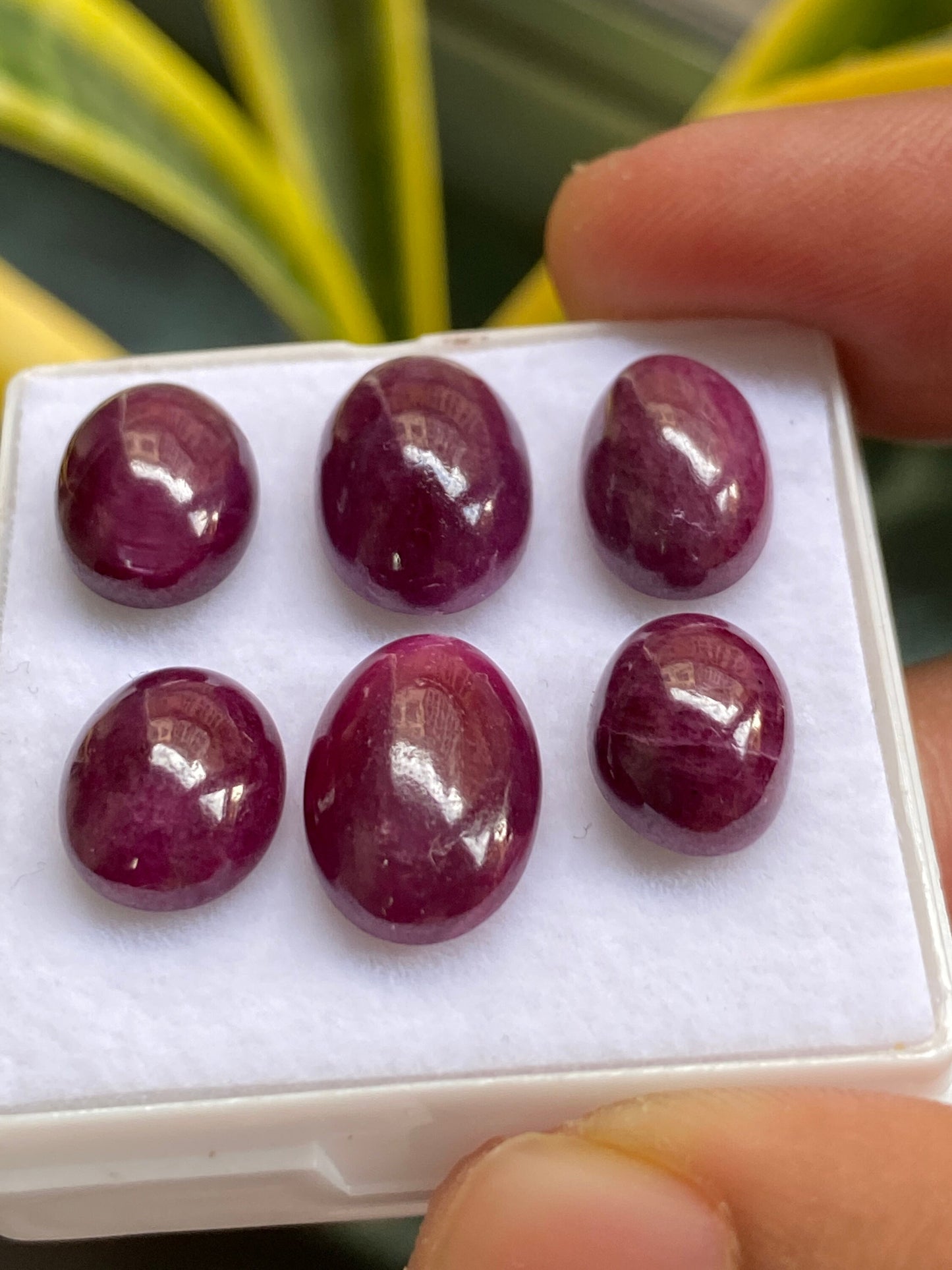 Vivacious very rare natural ruby cabochons tanzania mines lot oval pcs 6 wt 52 carats size 11x9mm-14x10mm unheated untreated ruby cabochon