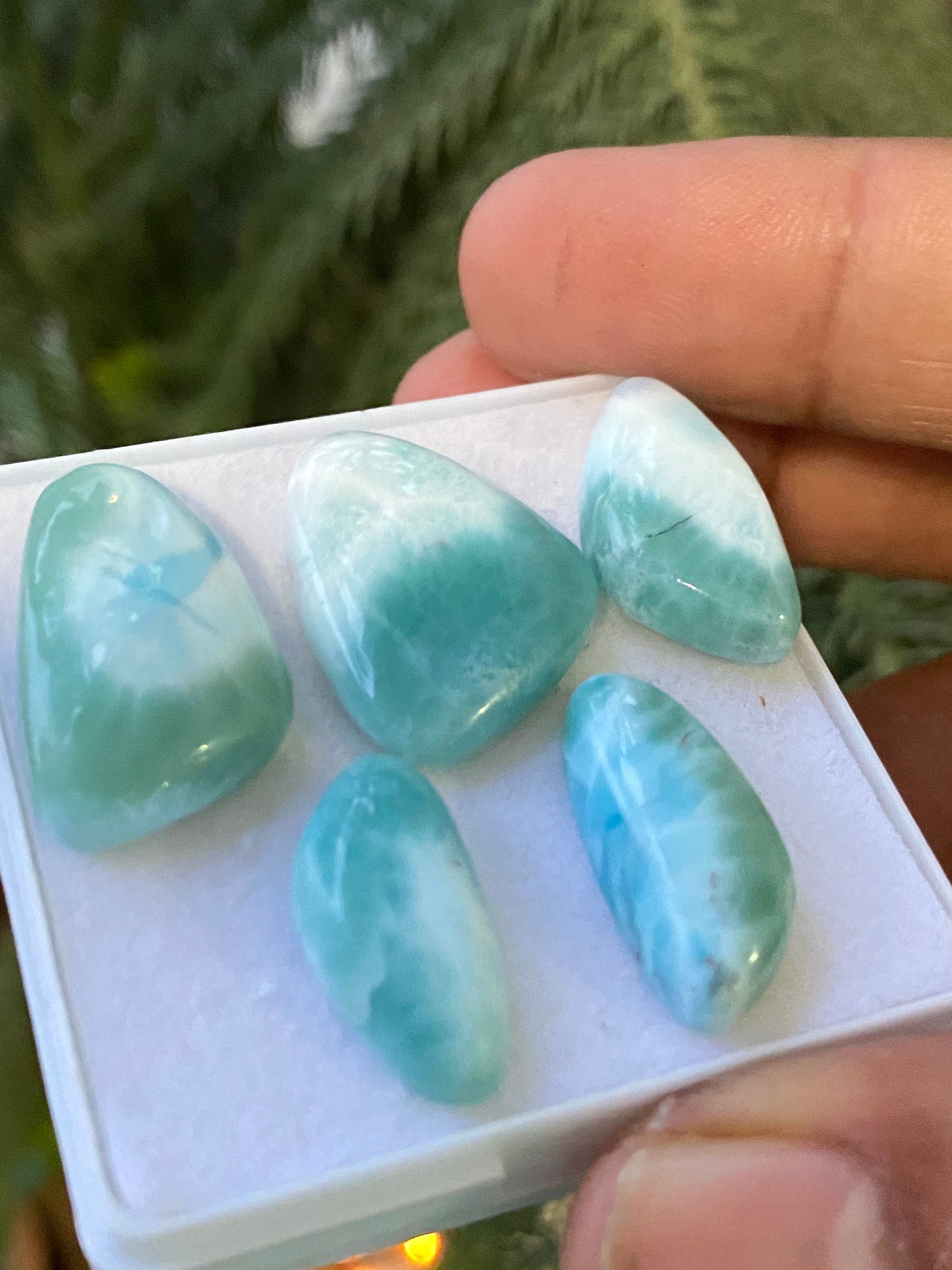 Dazzling rare Smooth Larimar cabochons pcs 5 pendant supply  wt 69 carats size 19x10-21x15mm  natural Larimar cabochons fancy shape