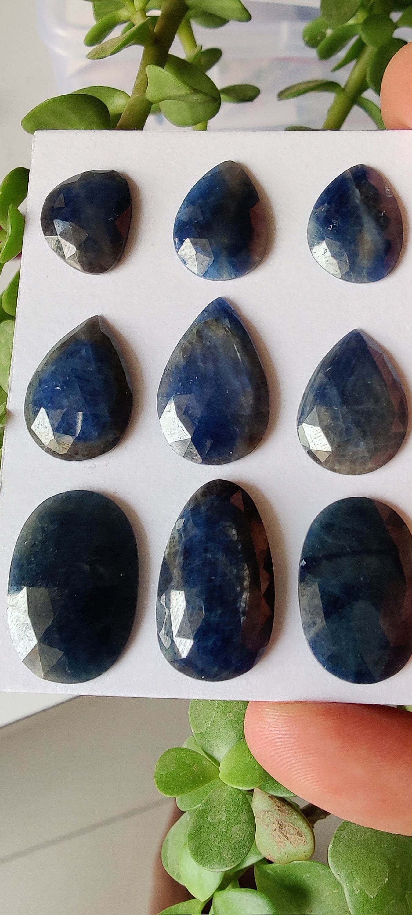 Beautiful Rare Natural unheated untreated blue sapphire rosecut pear shape 15x12mm-23x15mm wt 98 carats pcs 9  unheated sapphire rosecuts