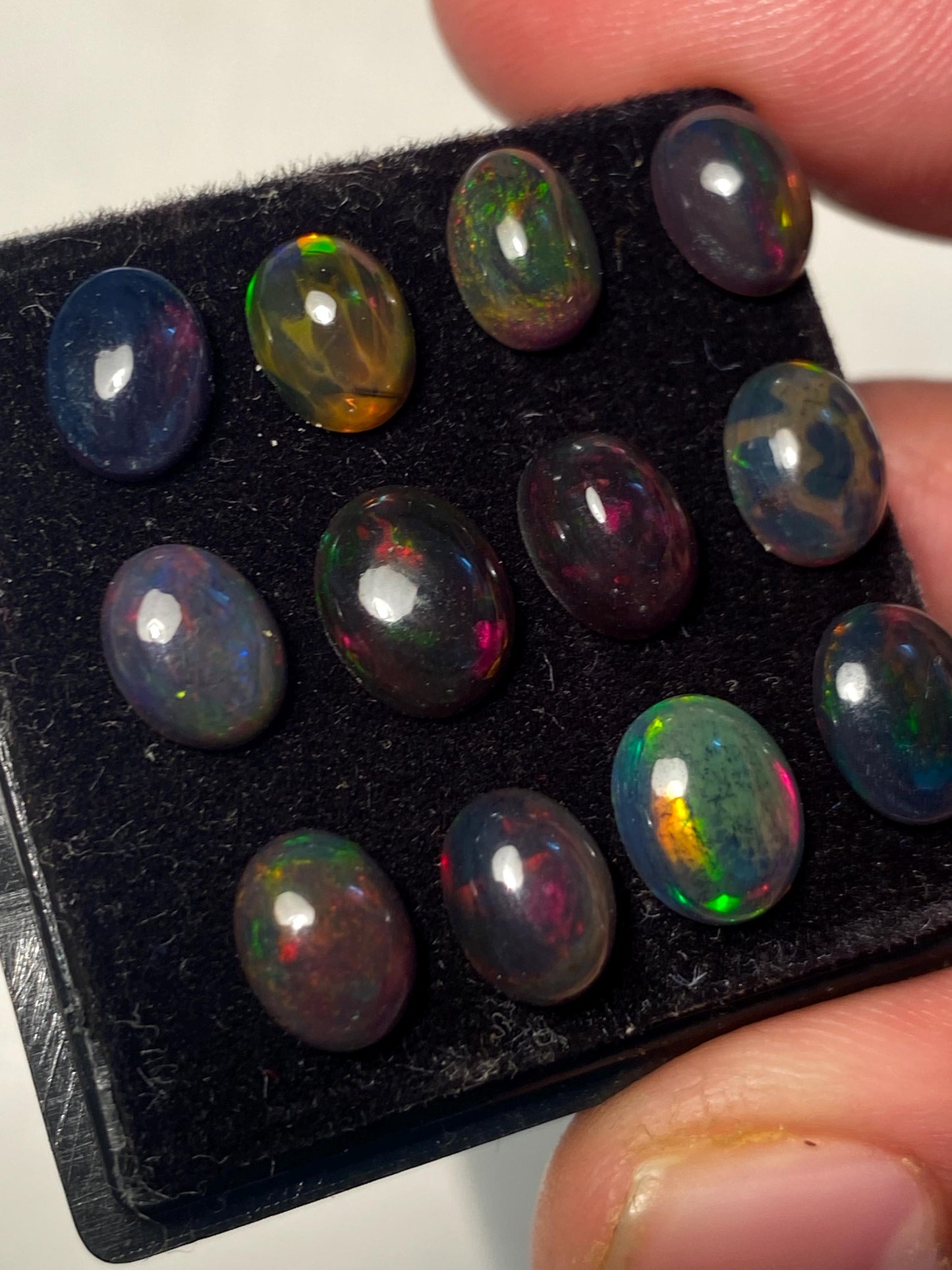 Black opal (smoked) Natural Fire opal cabochons lot size 7.8x6-8.8x7mm wt 11.35 cts pcs 12 opal cabochon aaa quality fire black opals cabs