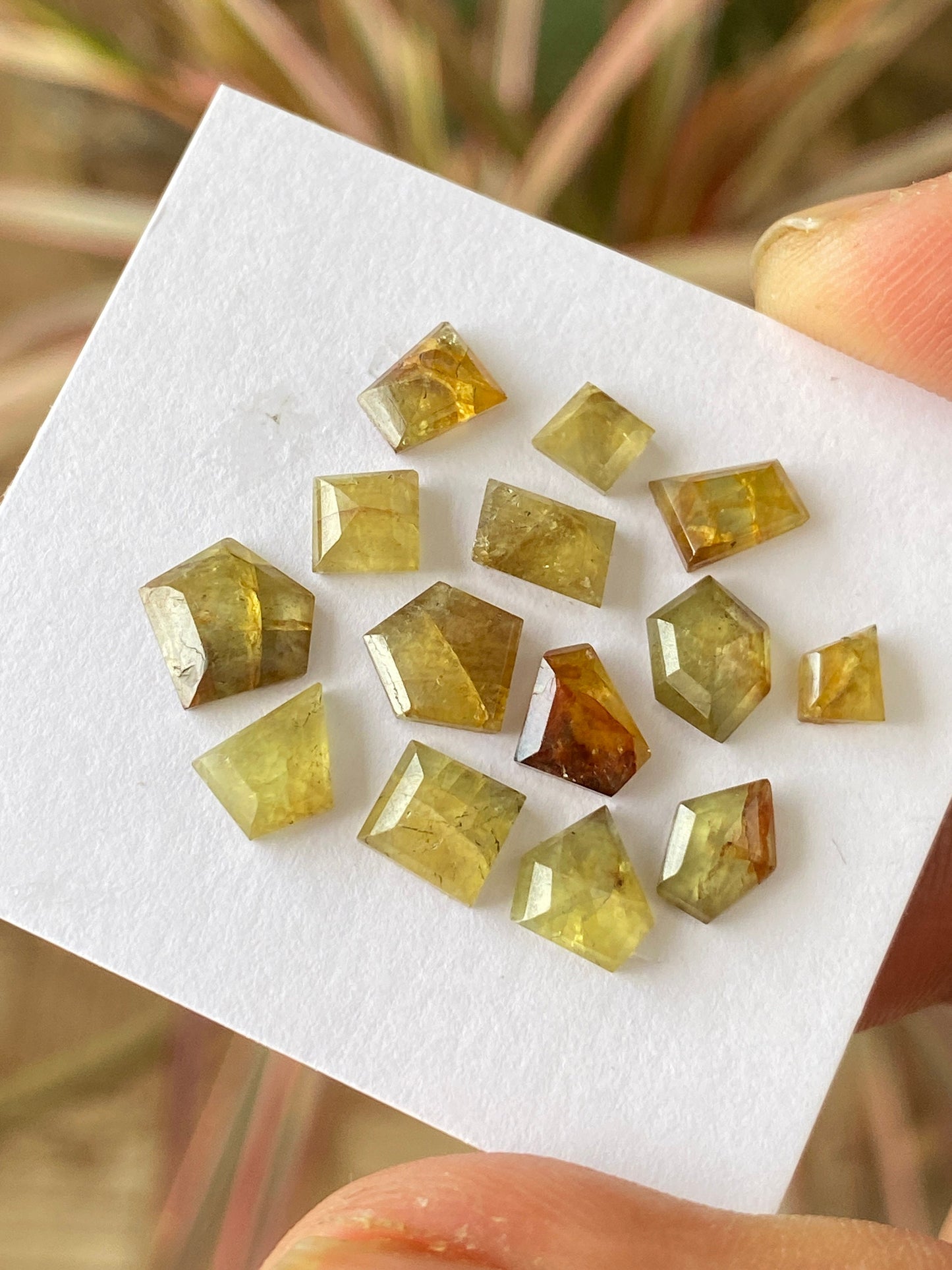 Dazzling very rare Tanzania mines small yellow sapphire Bicolor geometric wt 15 carats pcs 14 size 5x4mm-8x7mm sapphire stepcut