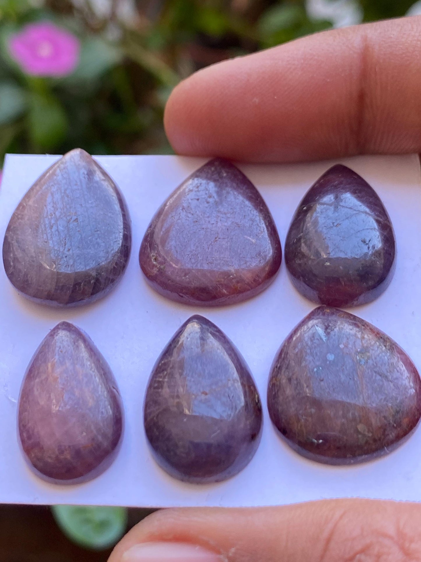 Beatiful natural purple-brown sapphire cabochon pcs 6 size 21x14-24x16mm wt 114 carats sapphire pears hearts natural sapphire cabochon