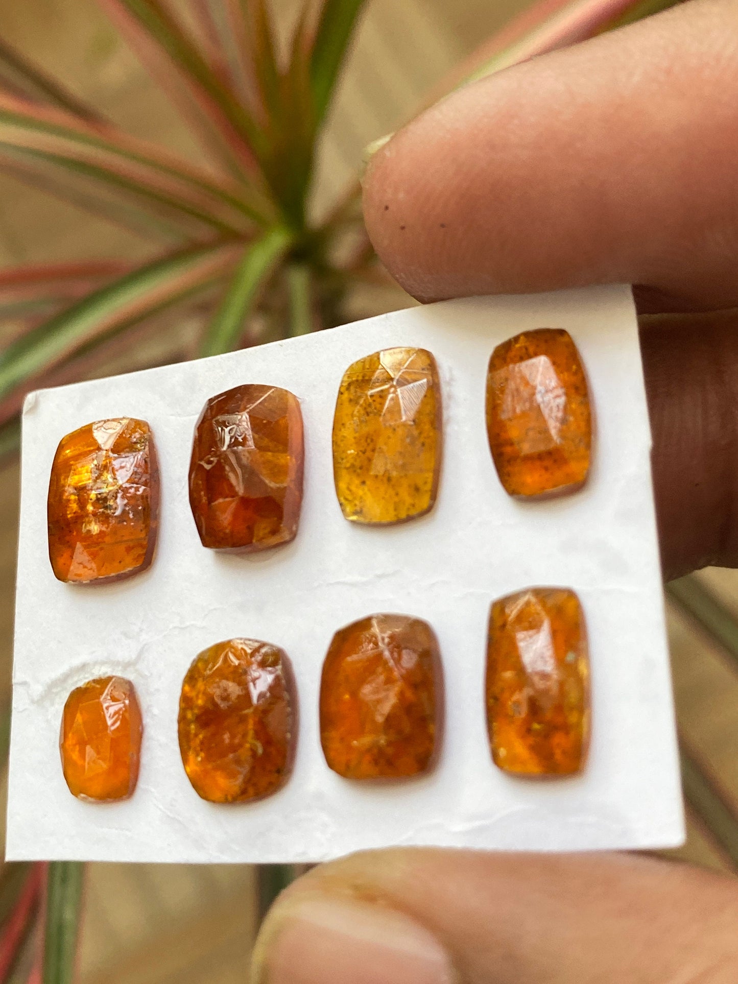 Stunning Rare orange kyanite rosecut cushion flats fine quality weight 16 carats pcs 8 size 7x5-11x8mm good quality rosecut kyanite