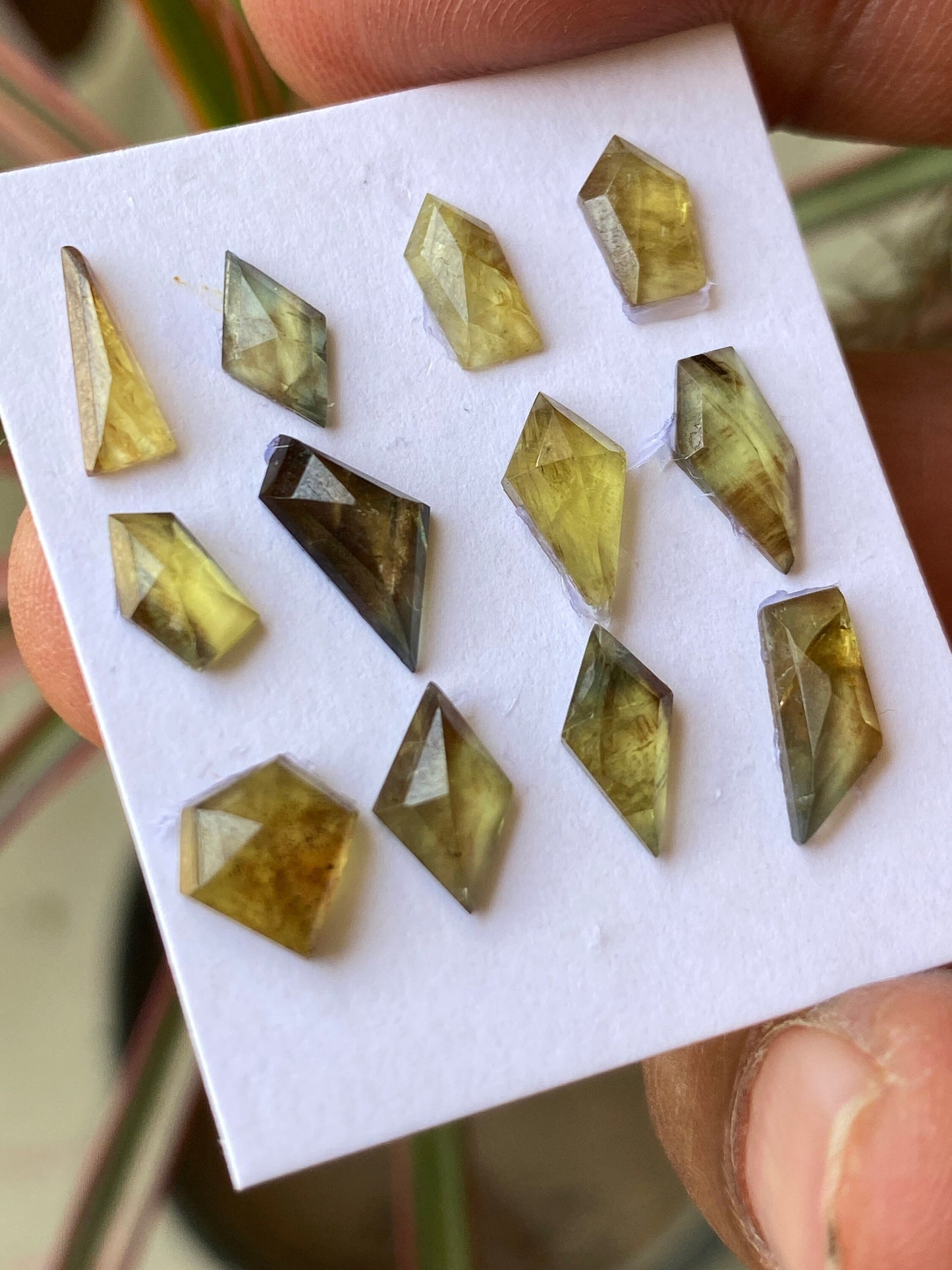 Mesmerising very rare Tanzania mines small yellow sapphire Bicolor geometric wt  carats pcs 12 size 5.5x4mm-9x7mm sapphire stepcut