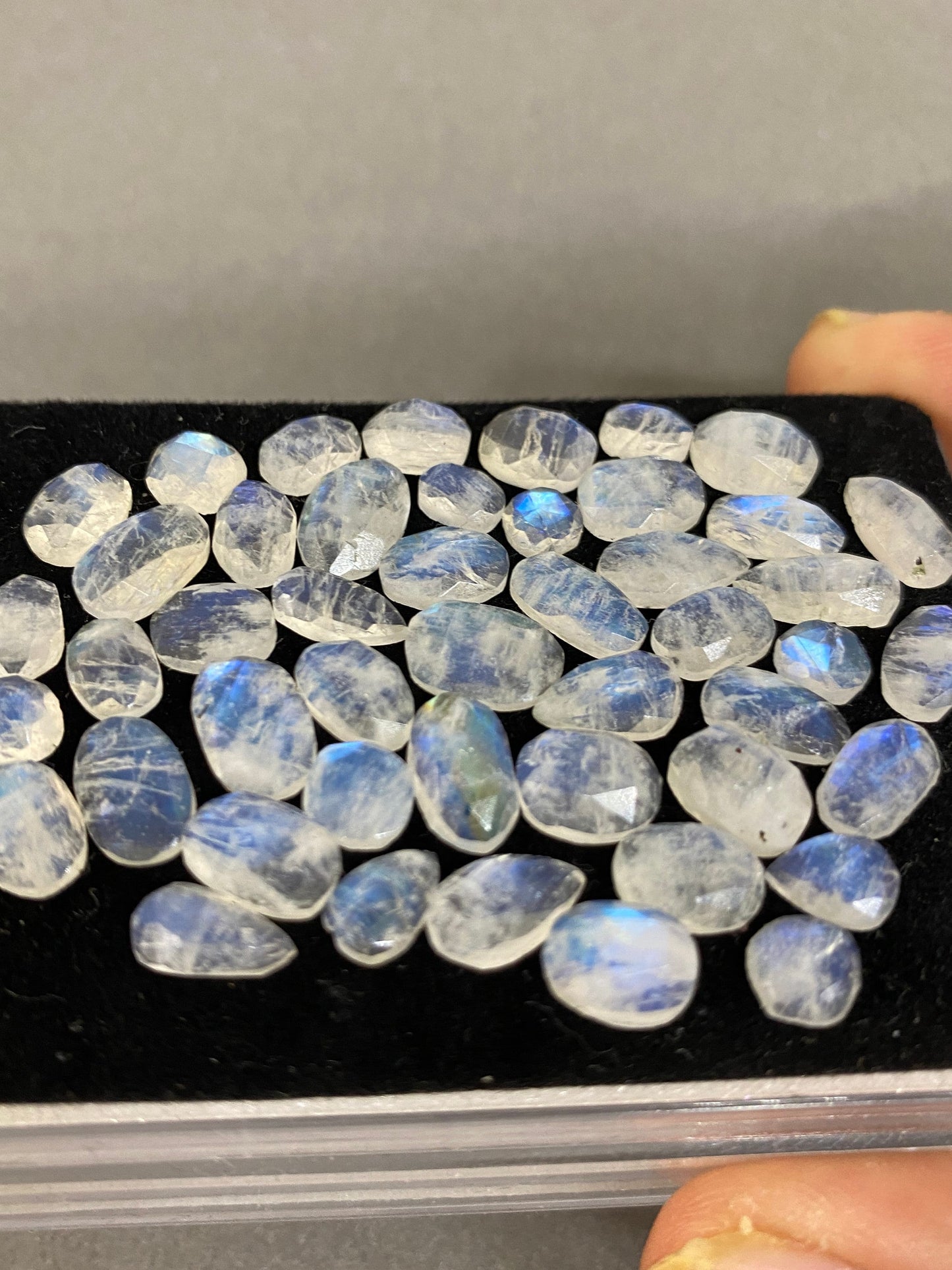 Vivacious Blue fire rainbow moonstone unusual faceted rosecut pcs 49 wt 67 cts  size 6x5.5mm-10x8mm beautiful fire rainbow moonstone facted