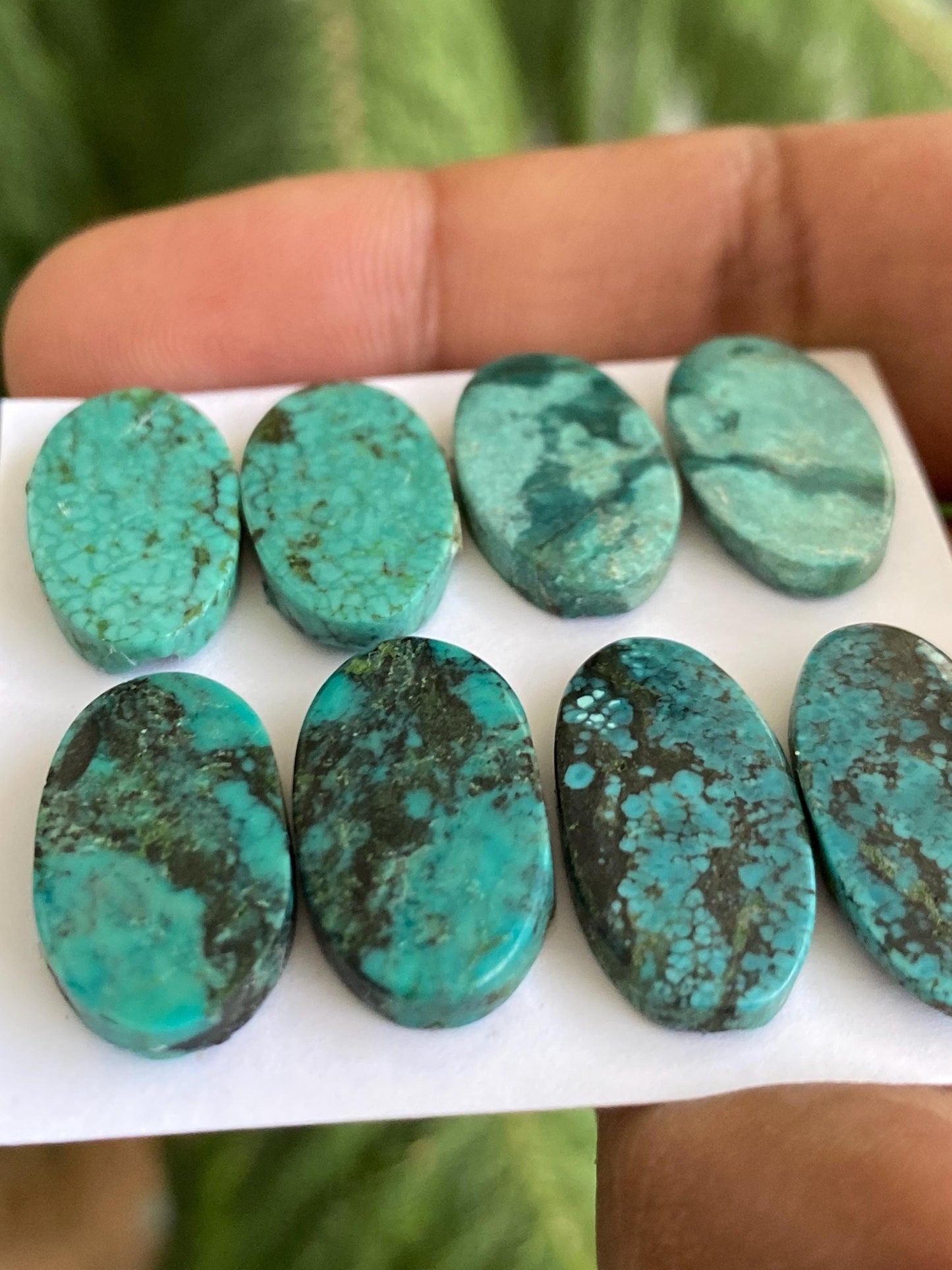 Rare Turquoise pairs natural hubei mines smooth polished cloud mountain pcs 8 wt 56 carats big 20x12-21x11mm turquoise earrings supply