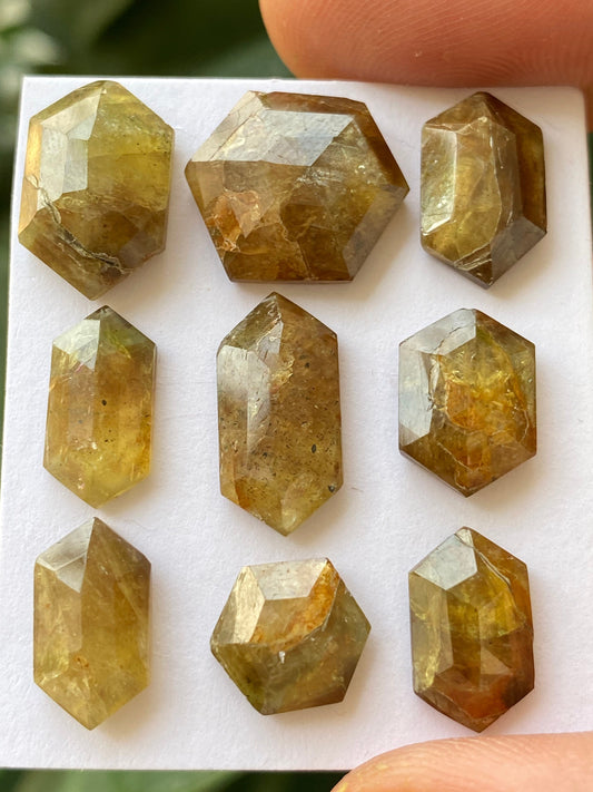 Stunning very rare big yellow golden sapphire hexagon sheen sapphire wt 43.50 carats pcs 9 size 9mm-13.5x13mm  rare sapphire hexagon stepcut