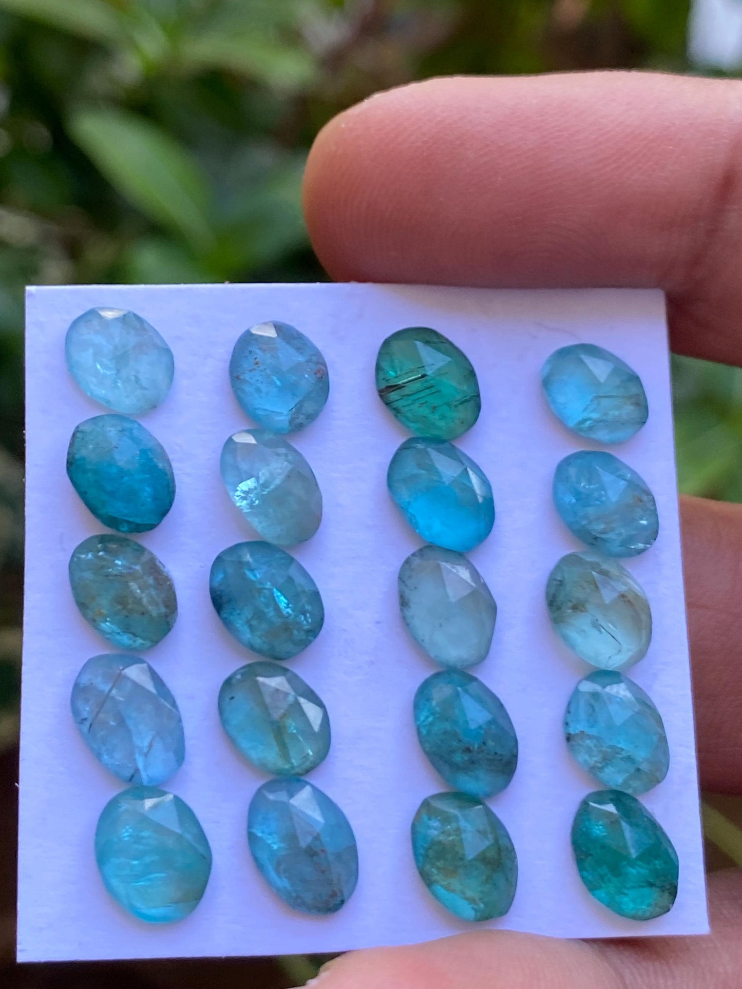 Gorgeous Blue green apatite rosecut wholesale lot weight 25.35 cts pcs 20 rosecut blue apatite flats Small size 7x6mm-9x6mm apatite rosecut