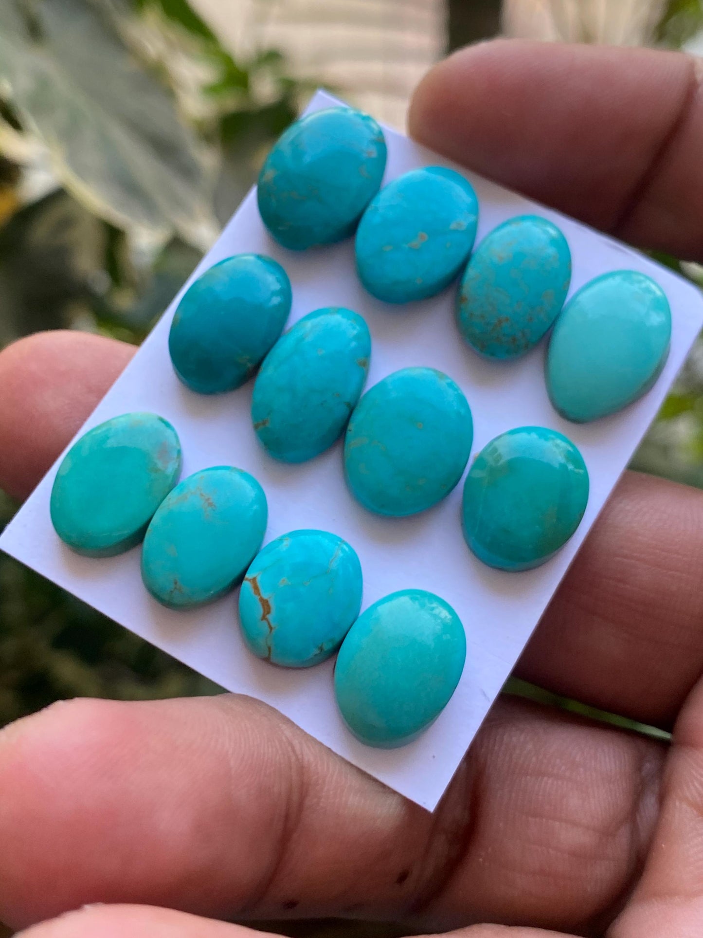 Mesmerising rare Arizona  mines Turquoise cabochons  natural smooth polished ovals pcs 12 wt 67 carats 12x10mm-16x11mm turquoise cabochons