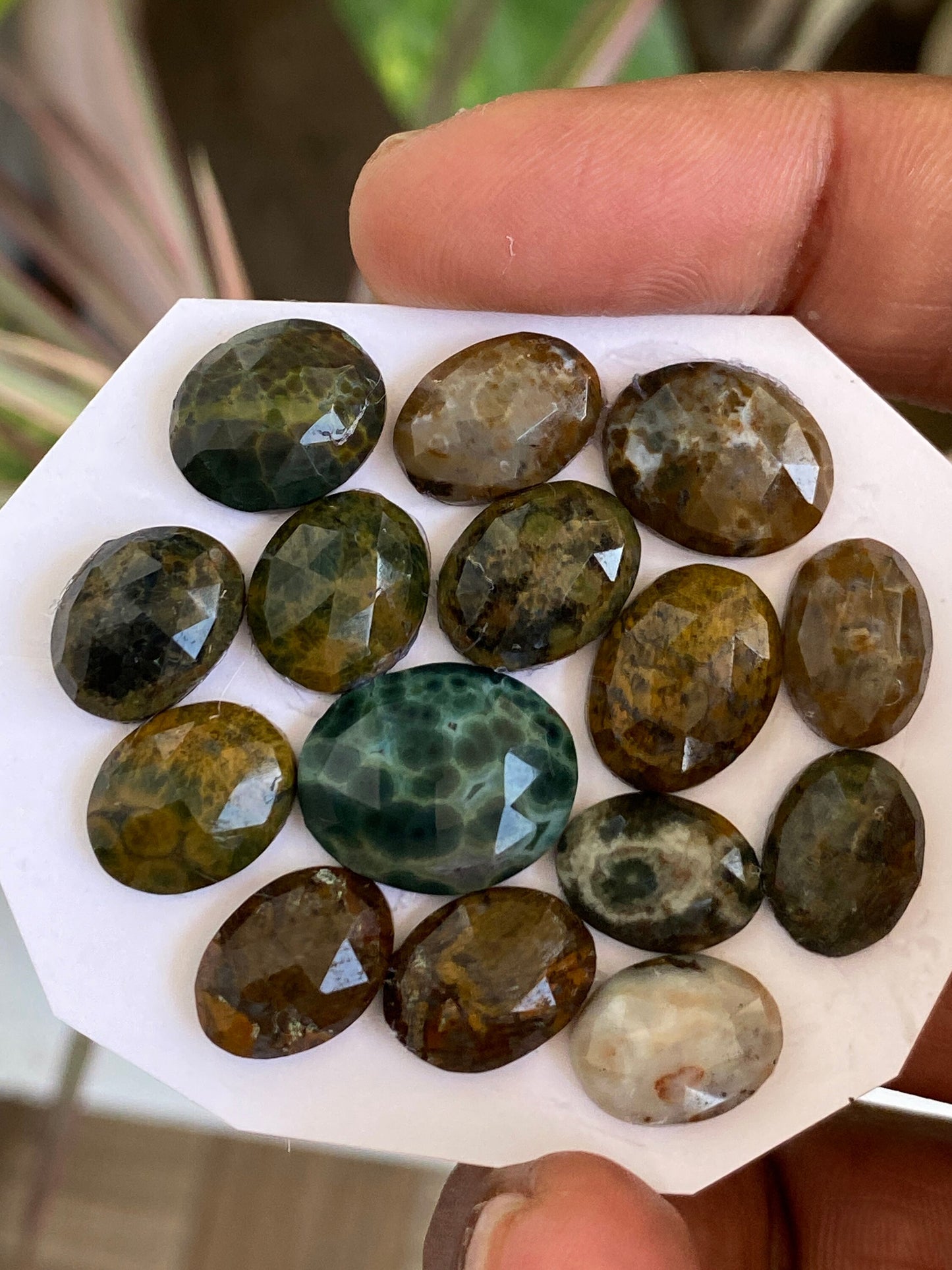 Fabulous fancy ocean jasper rosecut pear shape  fine quality pcs 17 wt 73 carats size 12x9-14x12mm amazing color fine quality