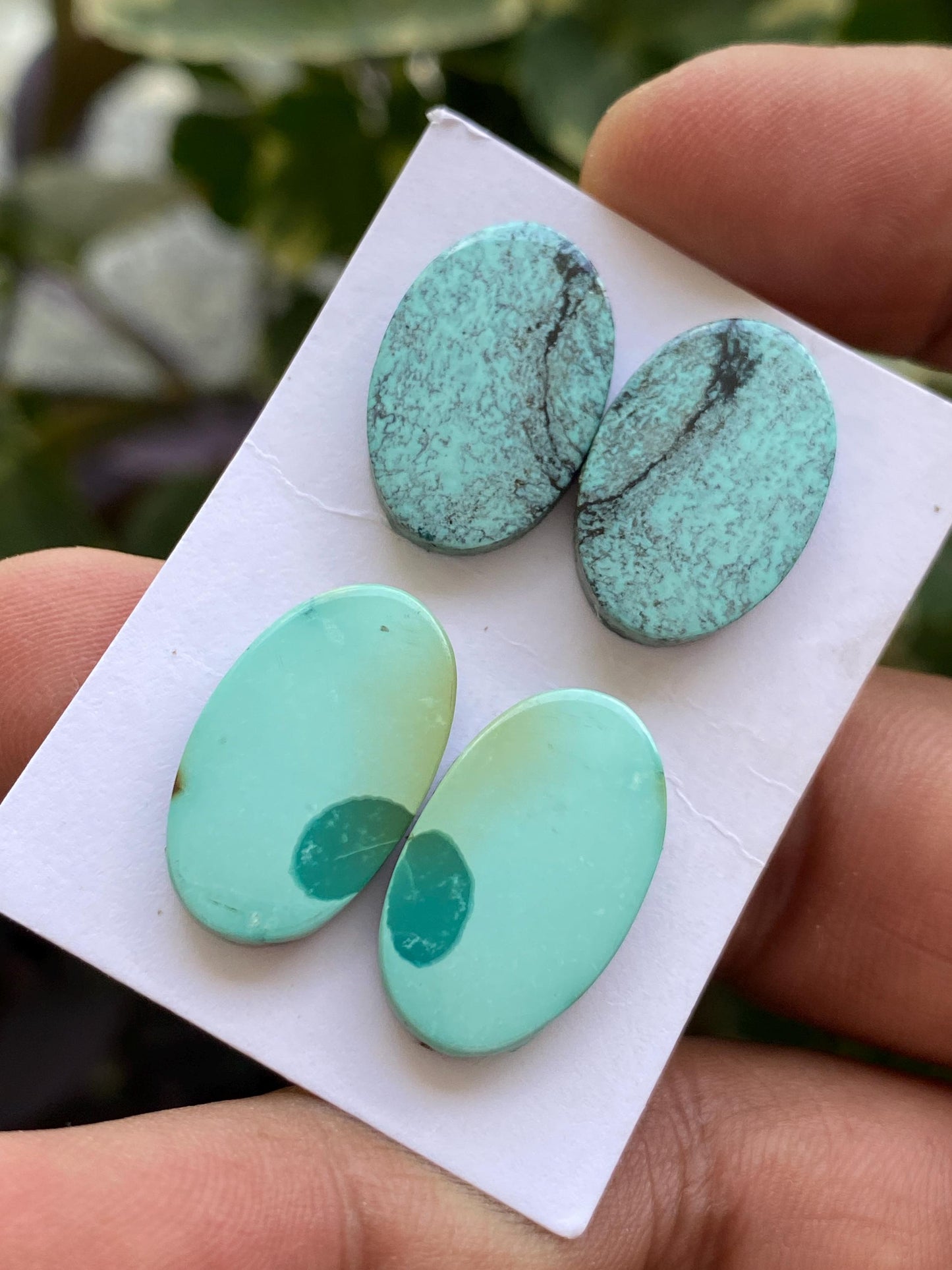 Awesome Turquoise pairs natural hubei mines smooth polished cloud mountain pcs 4 wt 42 carats 19x13mm-21x13mm turquoise earrings supply