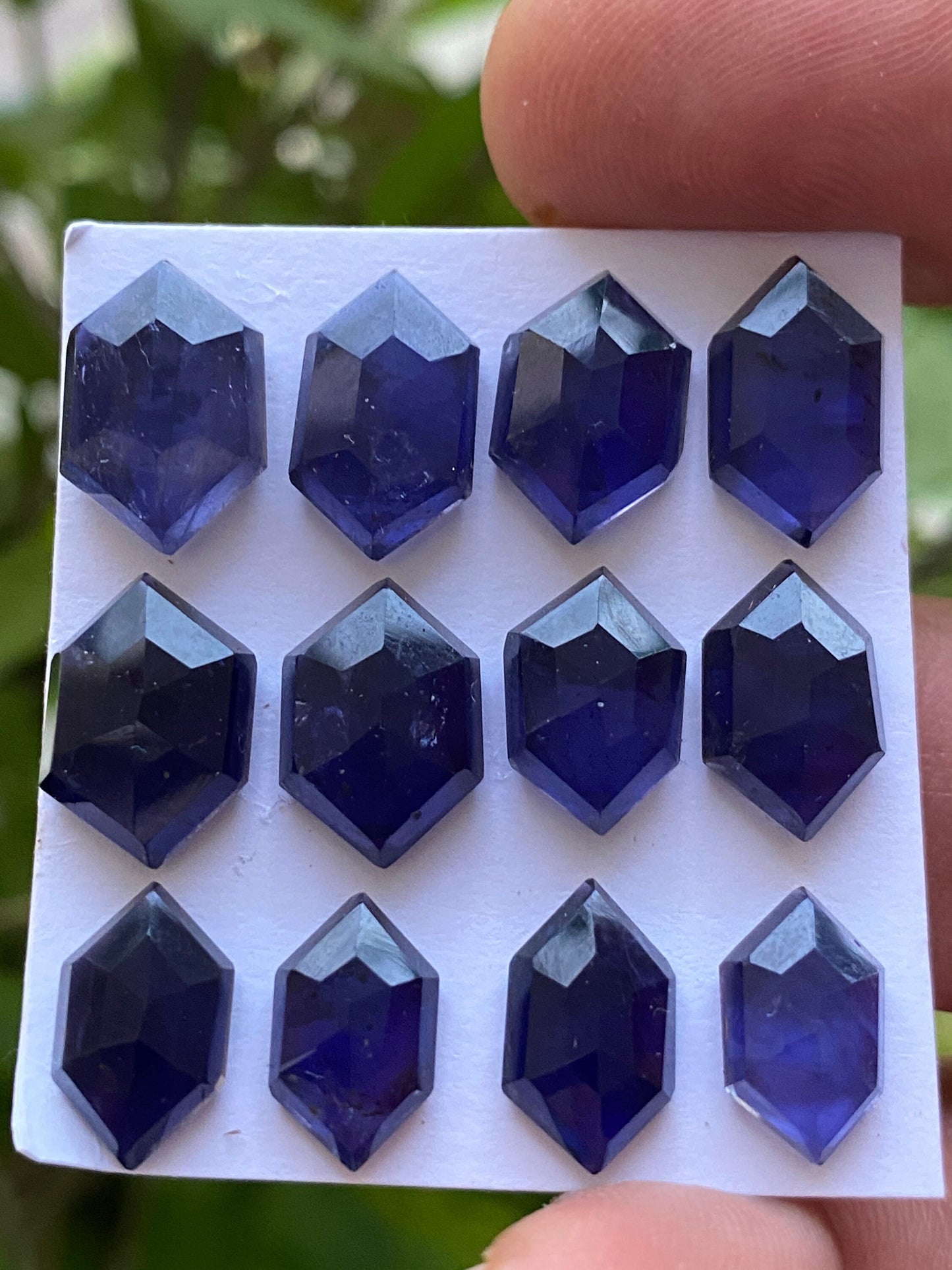 AAA quality Iolite hexagon step cuts weight 39 cts pcs 12 size 12x7.3mm-14.6x9.7mm Iolite stepcut hexagon