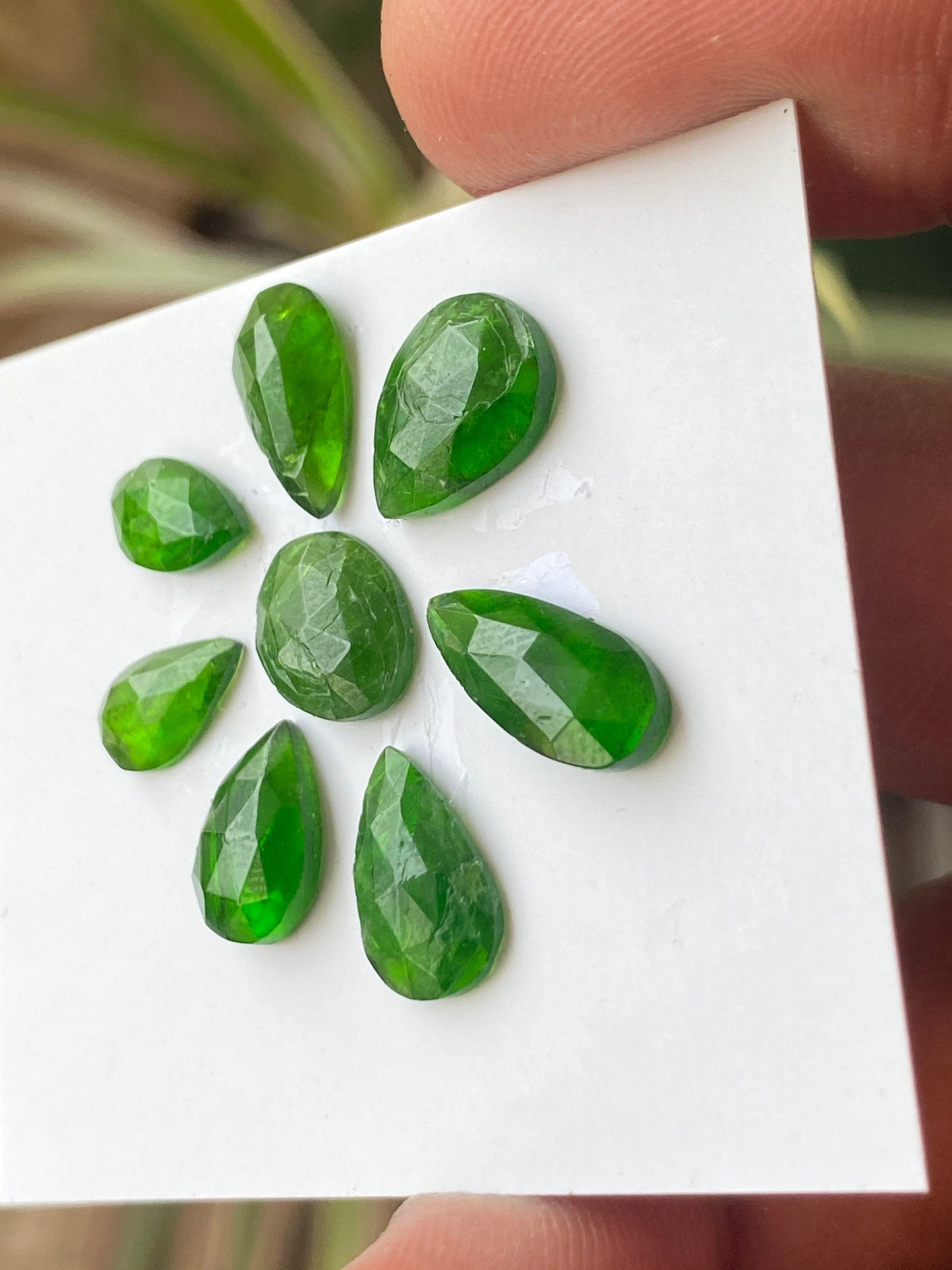 Marvellous Rare chrome diopside rosecut pear  vivid green color weight 16 carats size 6x5mm-13x6mm pcs 8 Chrome diopside rosecut