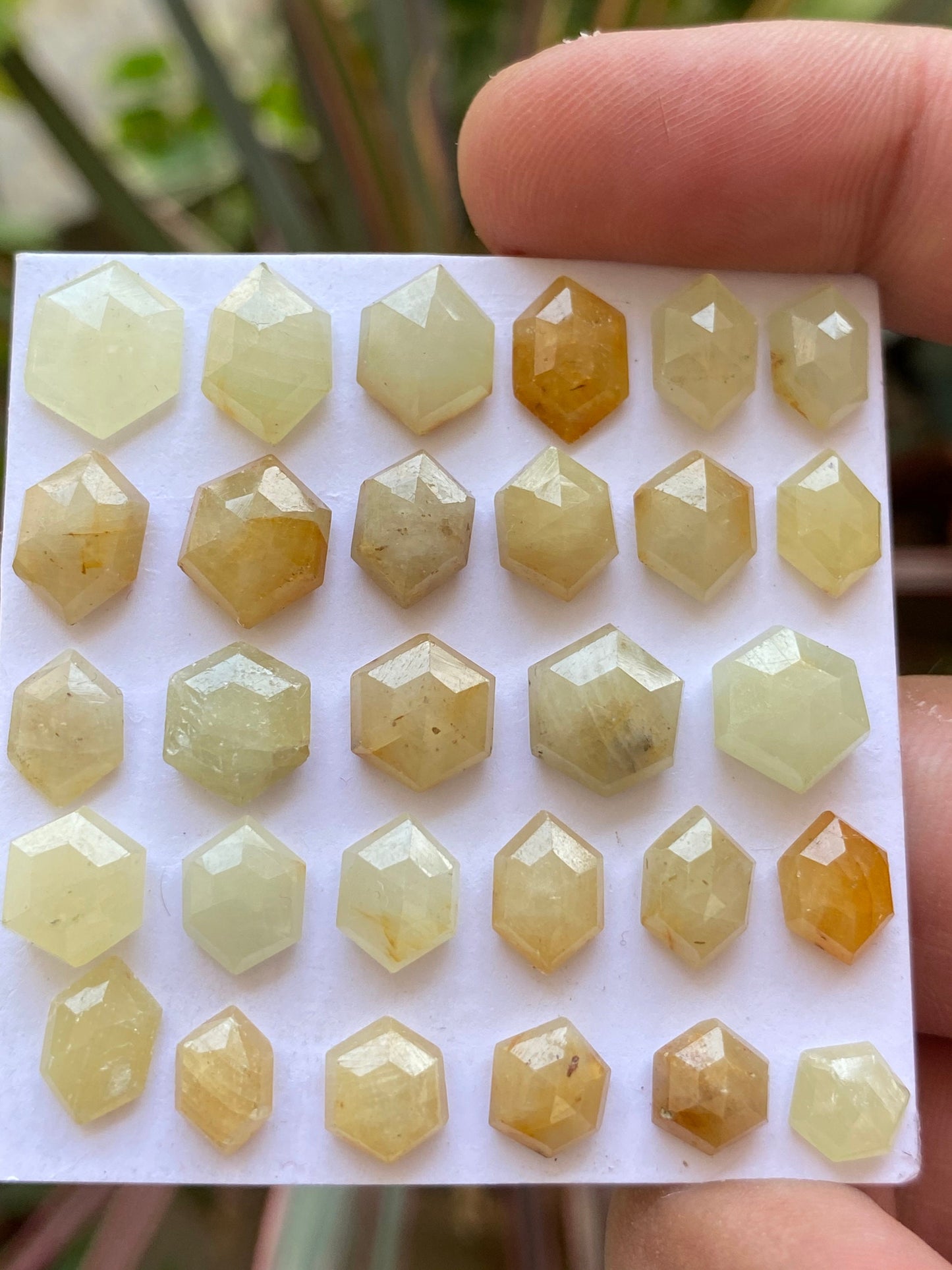 Scintillating Rare light Yellow sapphire hexagon step cuts wt 84 cts  pcs 29 size 6.9x6.6mm-11.7x9.7mm sapphire stepcut hexagon flatbacks