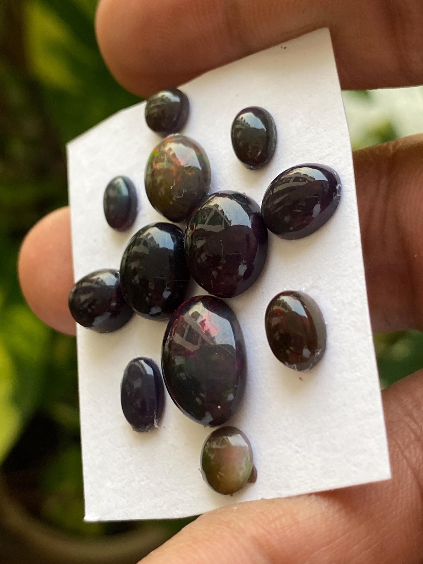 Fabulous Black opal (smoked)Natural Fire opal cabochons lot size wt 19.5 cts size 6x6-14x6mm pcs 12 opal cabochon fire black opals cabochons