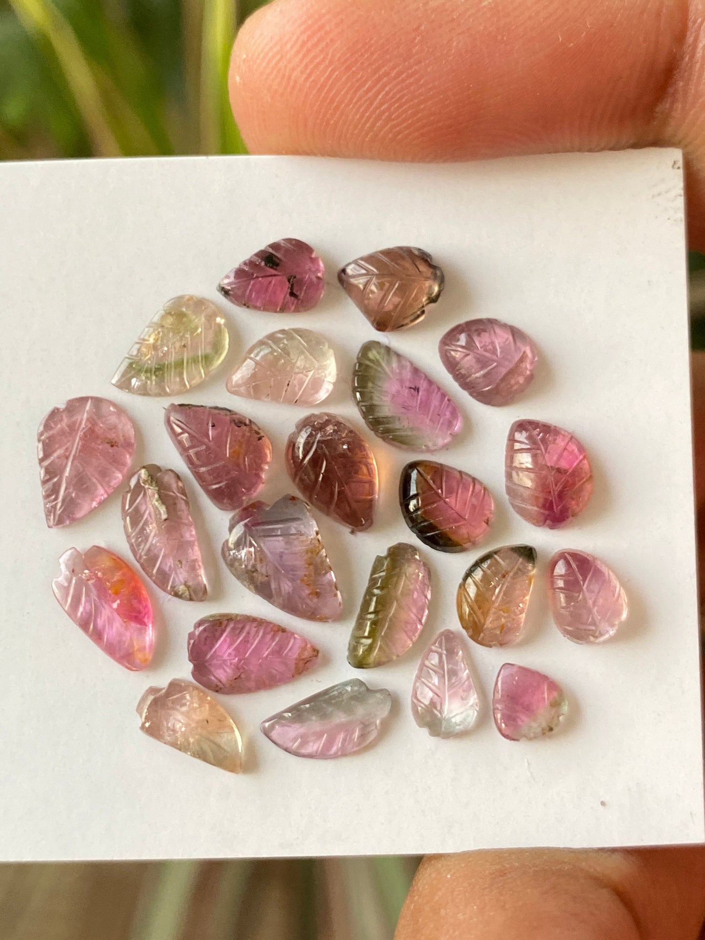 Fabulous Bicolor Watermelon tourmaline leaves carving  multi tourmaline carvings wt 15 carats pcs 22 size 5x4mm-9x6mm tourmaline leaves