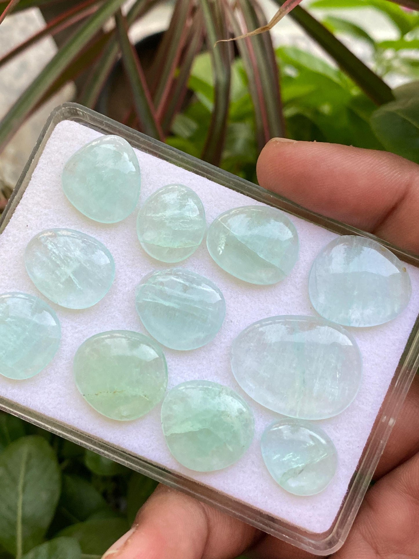 Mint Fluorite pairs smooth polished matched    sea  green size 15x13mm-25x19mm pcs 11 wt 104  cts fluorite  smooth polished cabochons