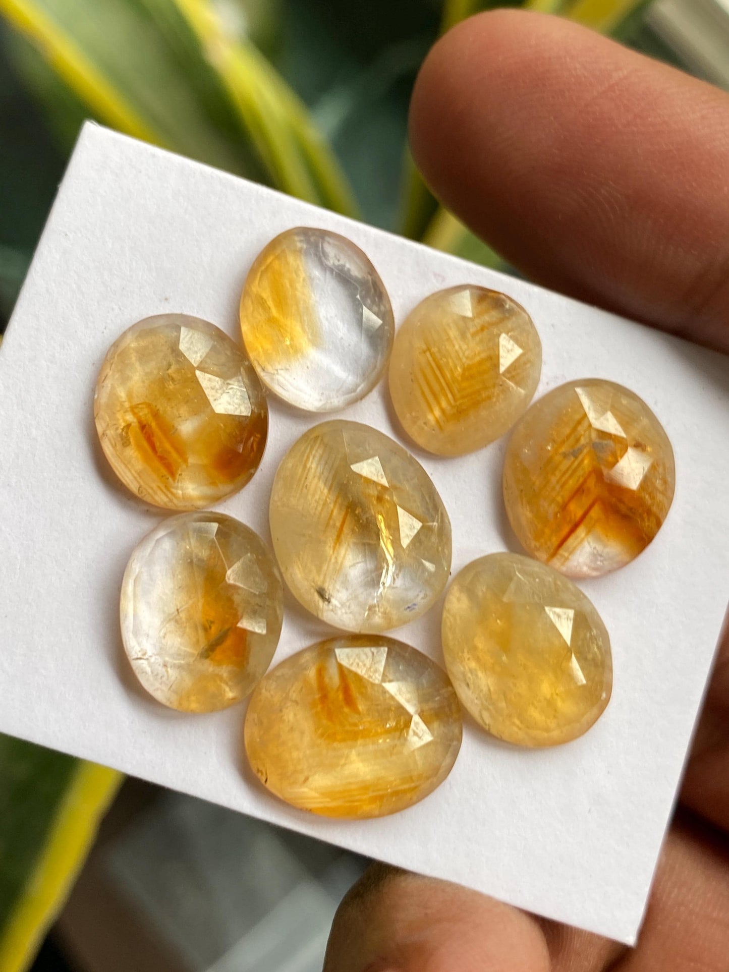 Dazzling Bicolor Citrine rosecut bi color wholesale lot pcs 8 wt 36 carats good size 12x10mm-14x11mm natural citrine rosecut flatback