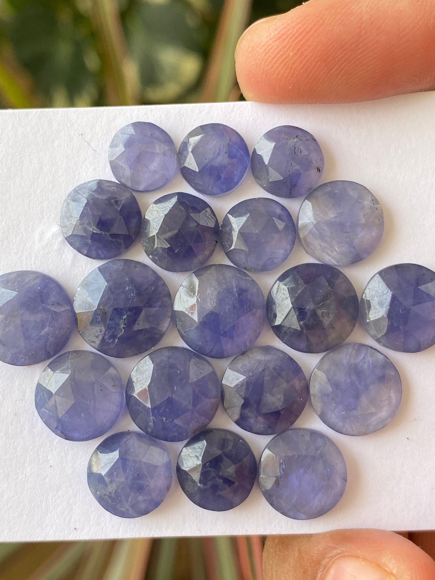 Fabulous Rare iolite rosecut wholesale lot weight 56 carats size 8.5mm-12.1mm  pcs 19  iolite rosecut iolite jewelry