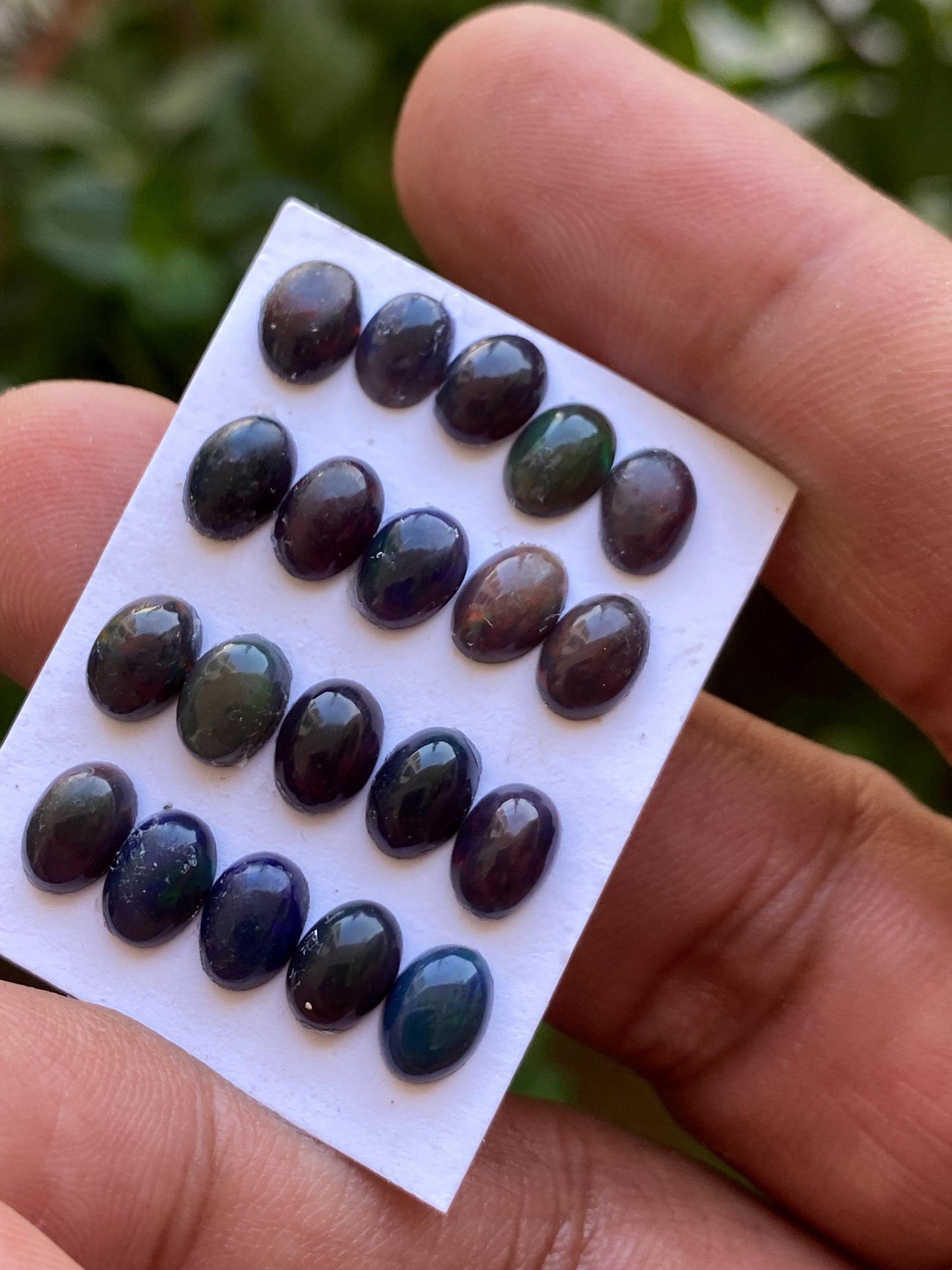 Black opal (smoked) Natural Fire opal cabochons lot size wt 9.80 cts size 7x5mm pcs 20 opal cabochon aaa quality fire black opals cabochons