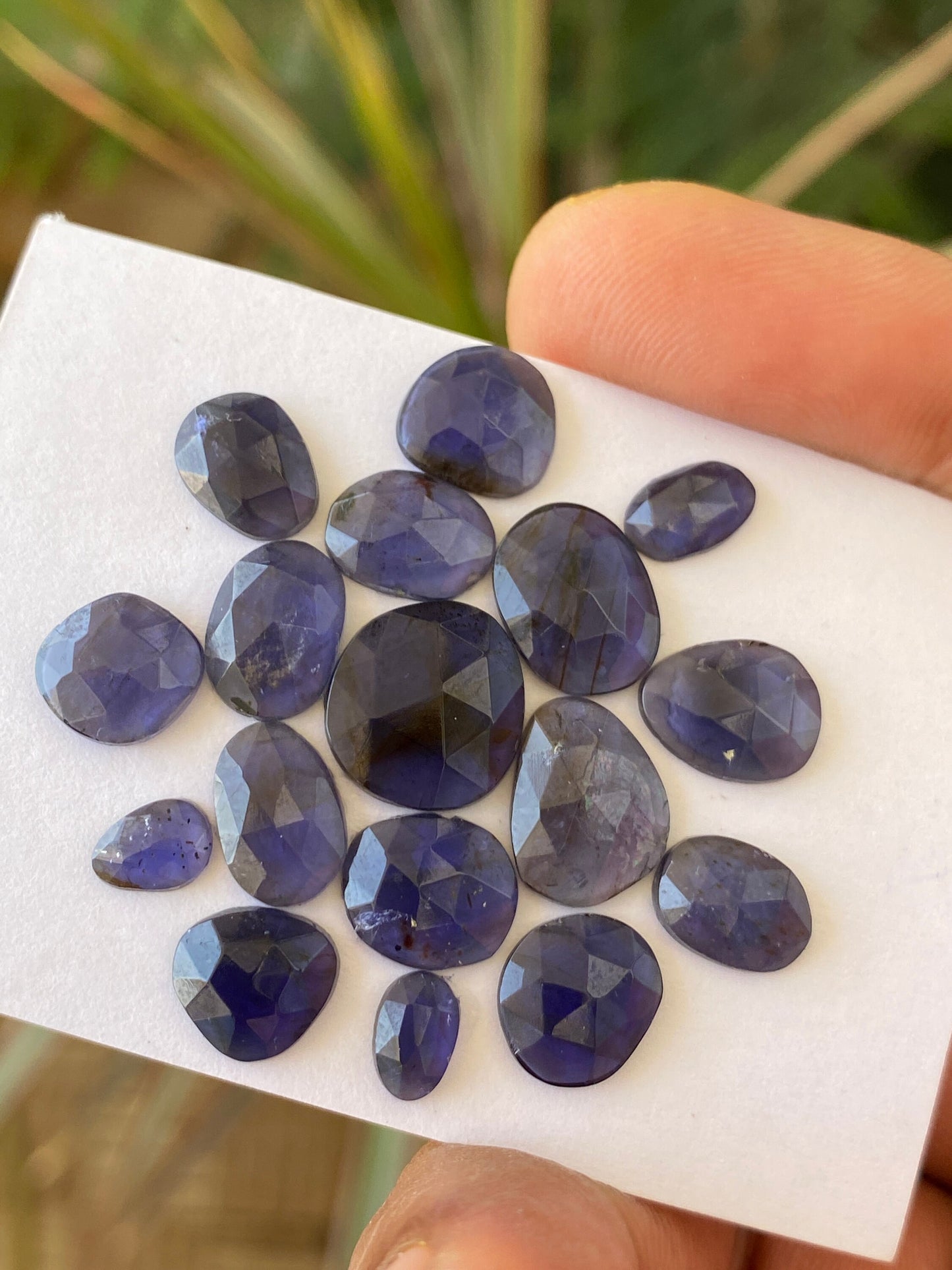 Beautiful Rare iolite rosecut wholesale lot fine quality weight 21 carats size 6x5mm-12x11mm pcs 17 iolite rosecut