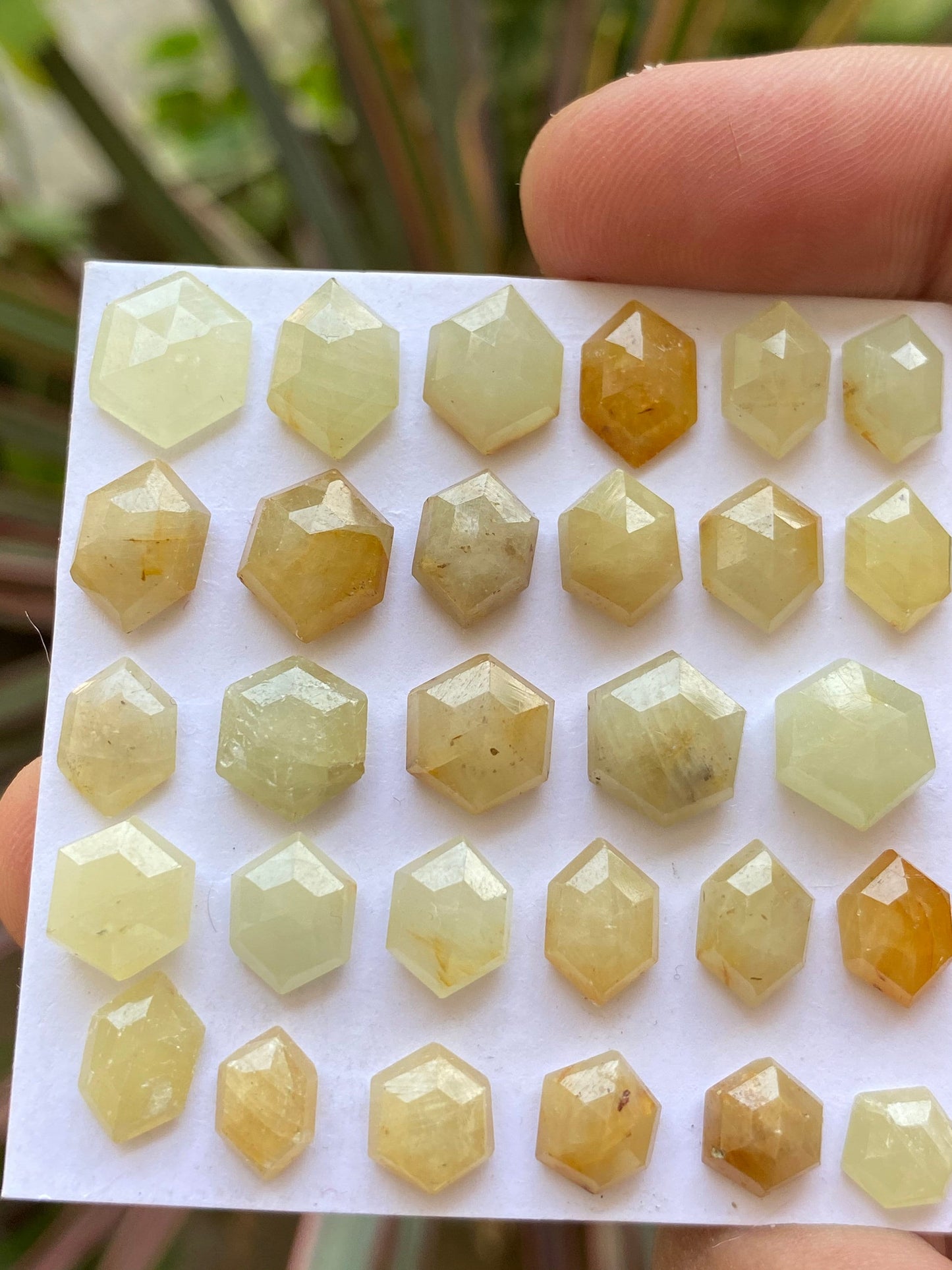 Scintillating Rare light Yellow sapphire hexagon step cuts wt 84 cts  pcs 29 size 6.9x6.6mm-11.7x9.7mm sapphire stepcut hexagon flatbacks