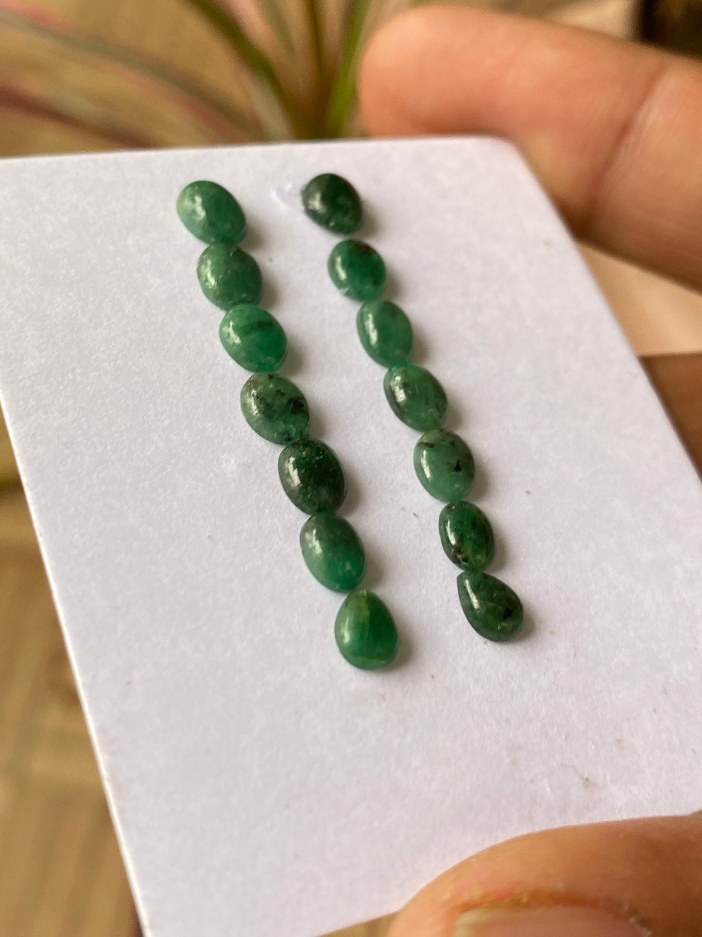 Vivacious rare Emerald cabochons earrings mixed shapes emerald oval weight 8.30 cts size 5.6x4.2mm-6.4x4.9mm  pcs 14 Emerald cabochon