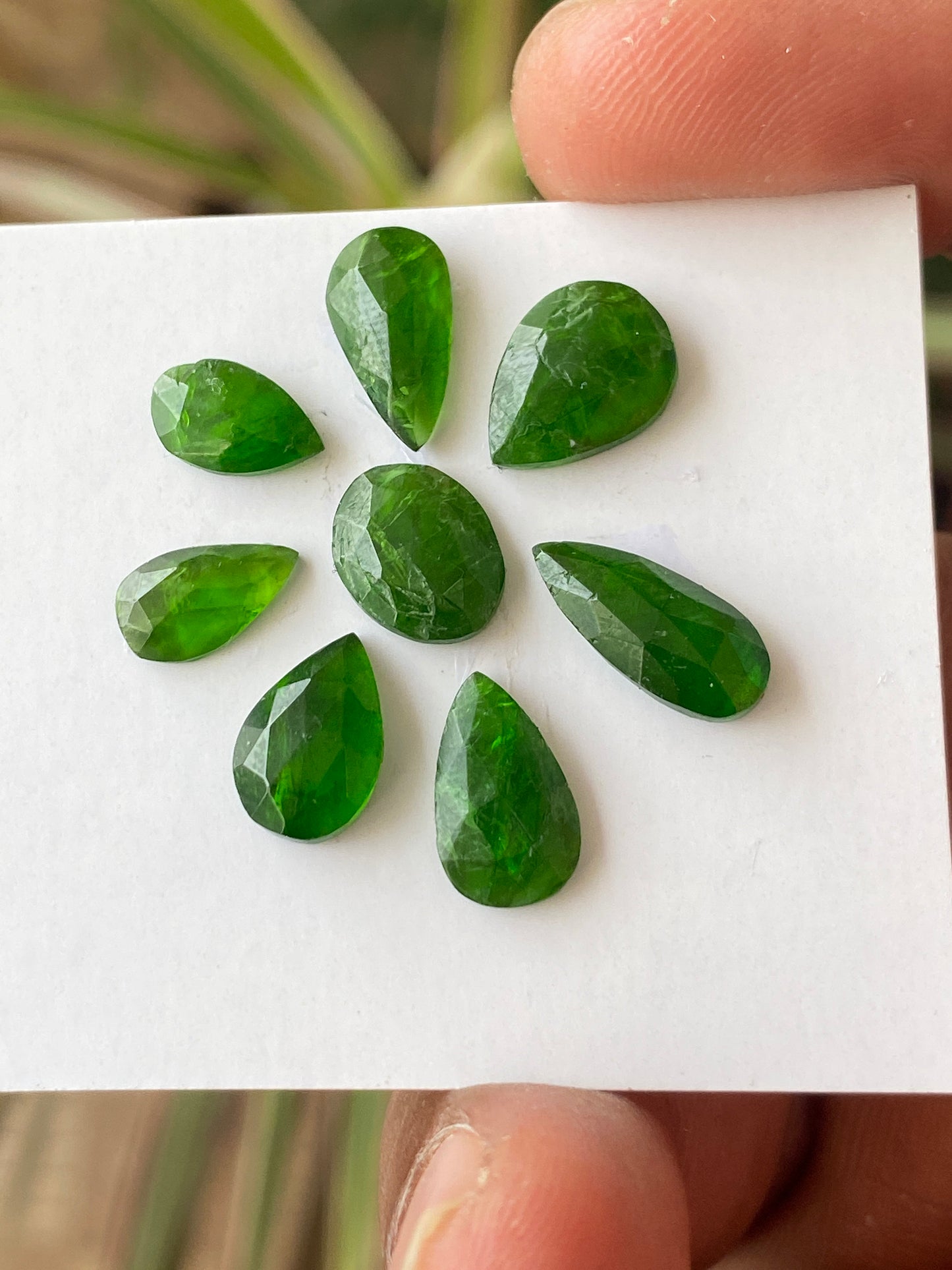 Marvellous Rare chrome diopside rosecut pear  vivid green color weight 16 carats size 6x5mm-13x6mm pcs 8 Chrome diopside rosecut