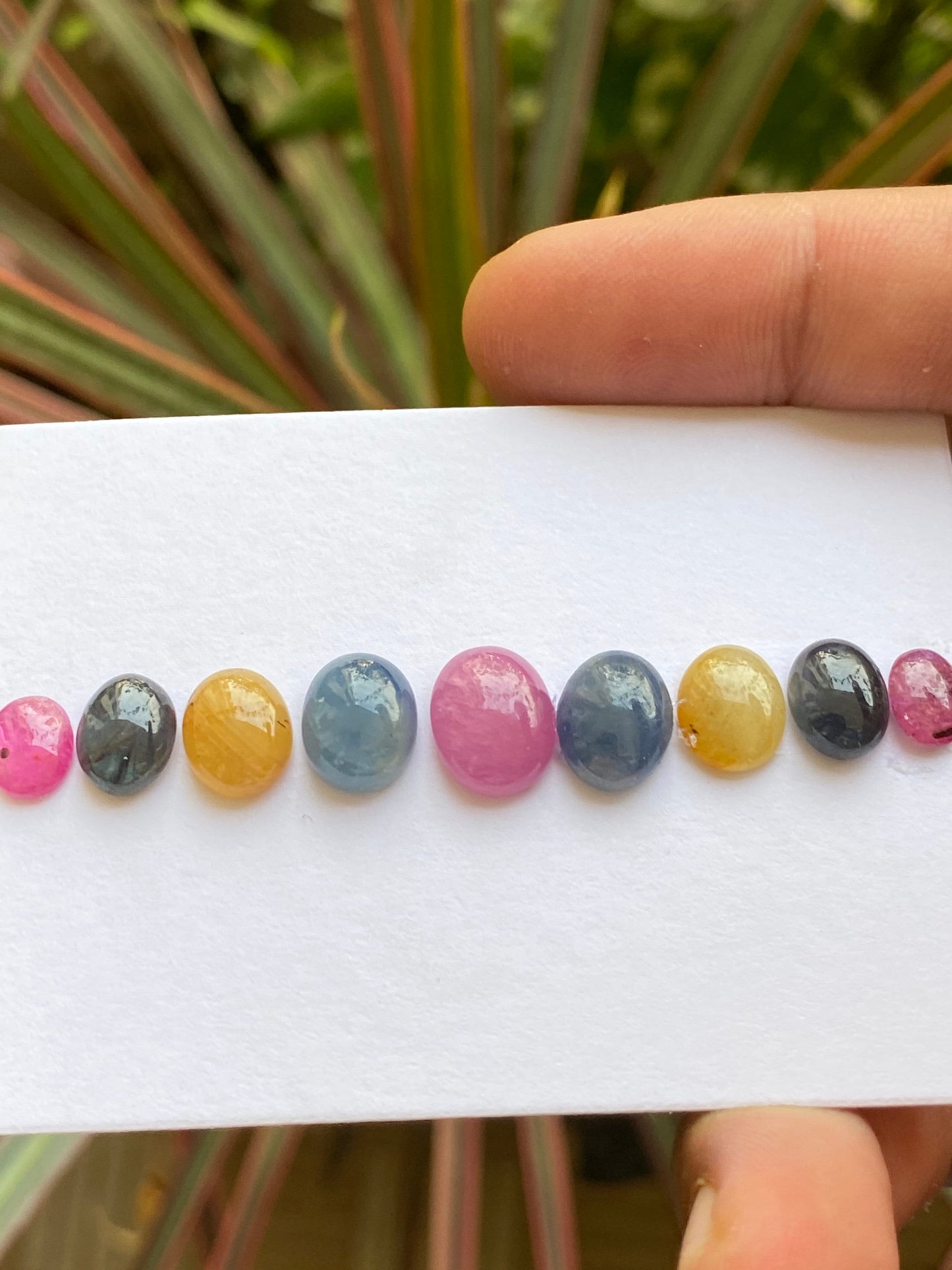 Natural very rare multi sapphire cabochons weight 30.40 carats size 8x6mm-11.5x9 pcs 9 beautiful natural unheated untreated sapphire