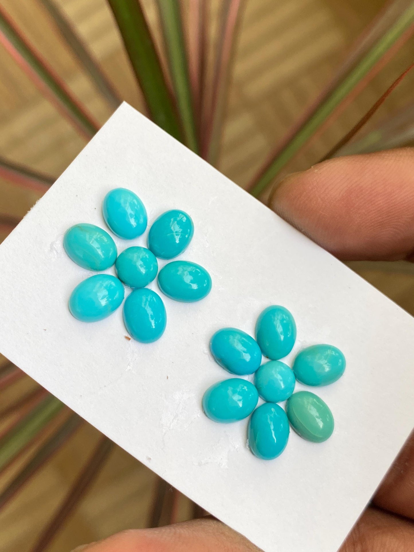 Rare Arizona mines Turquoise oval cabochons earrings supply natural smooth polished pcs 14 wt 14 carats 6.5mm-7x5mm  turquoise cabochons